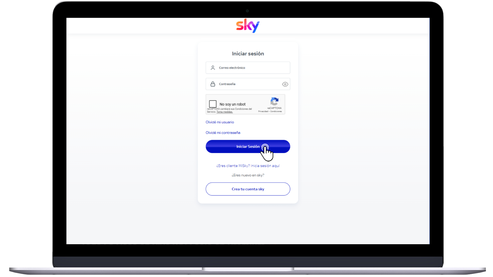 SkyWeb (7).jpg