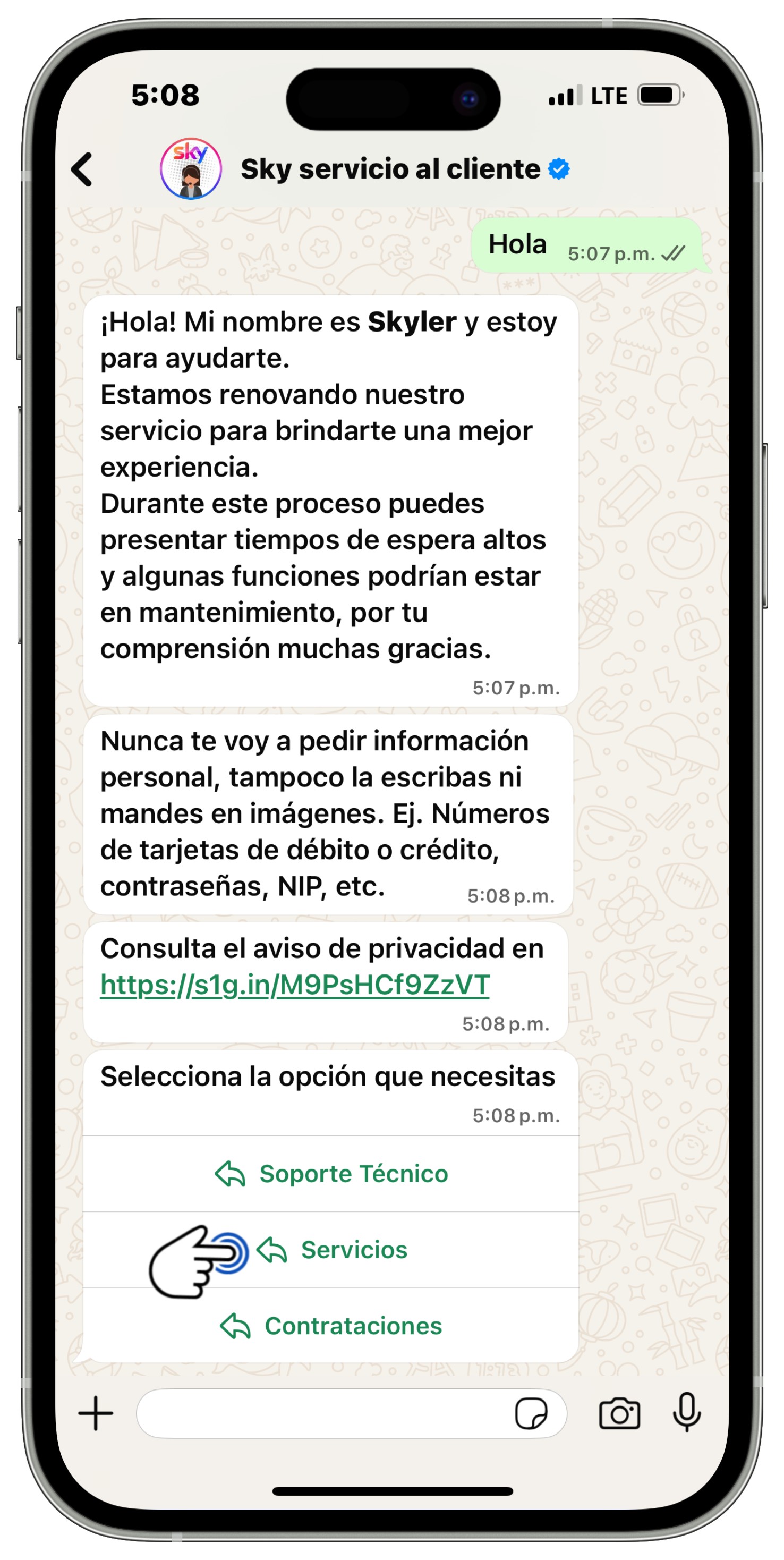 WhatsApp - Selección de opción Servicios.jpg