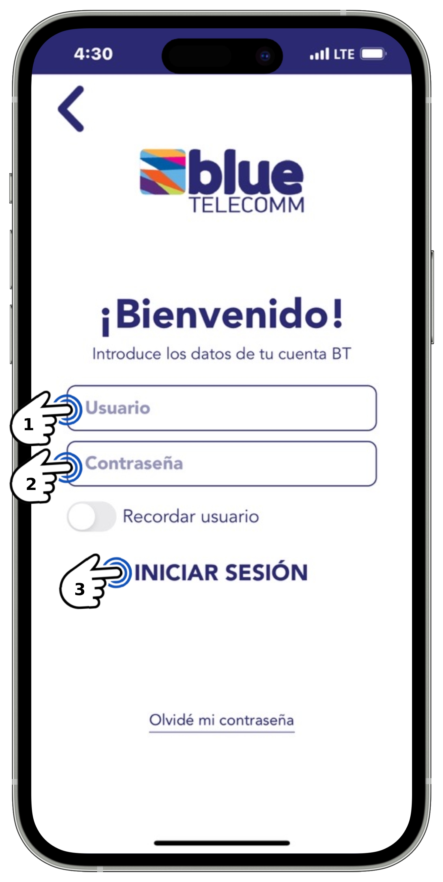 App BT - Datos de ingreso a la aplicación seleccionados.jpg