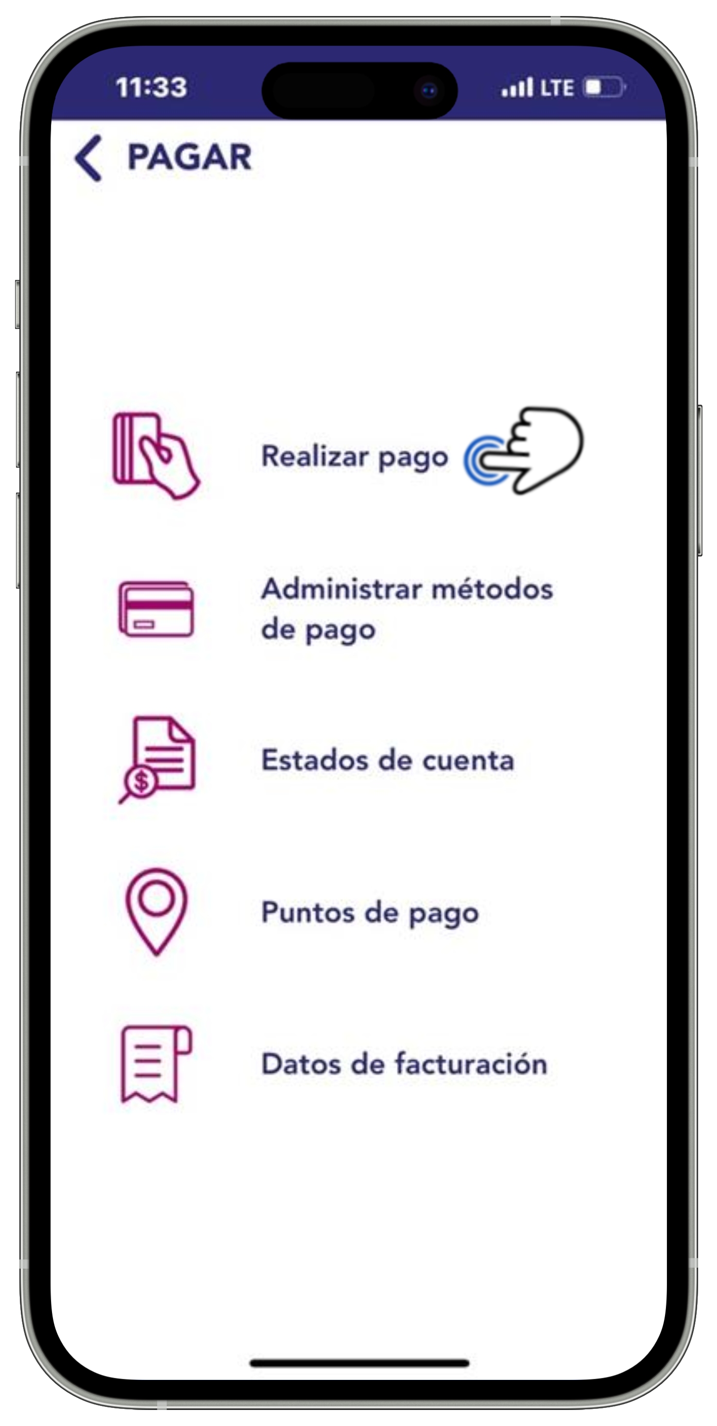 App Blue Telecomm - Opción Realizar pago seleccionada.jpg