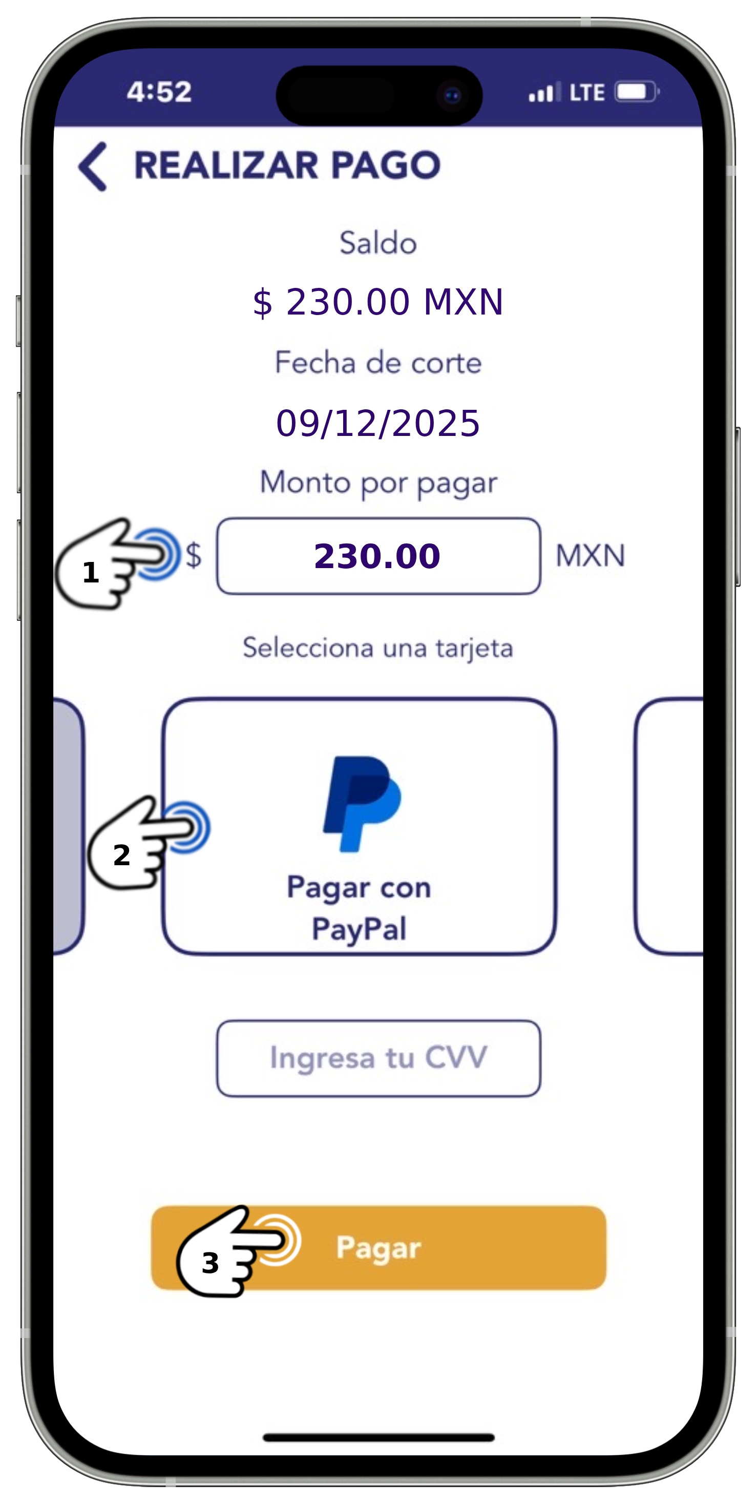 App BT - Pago 3.jpg