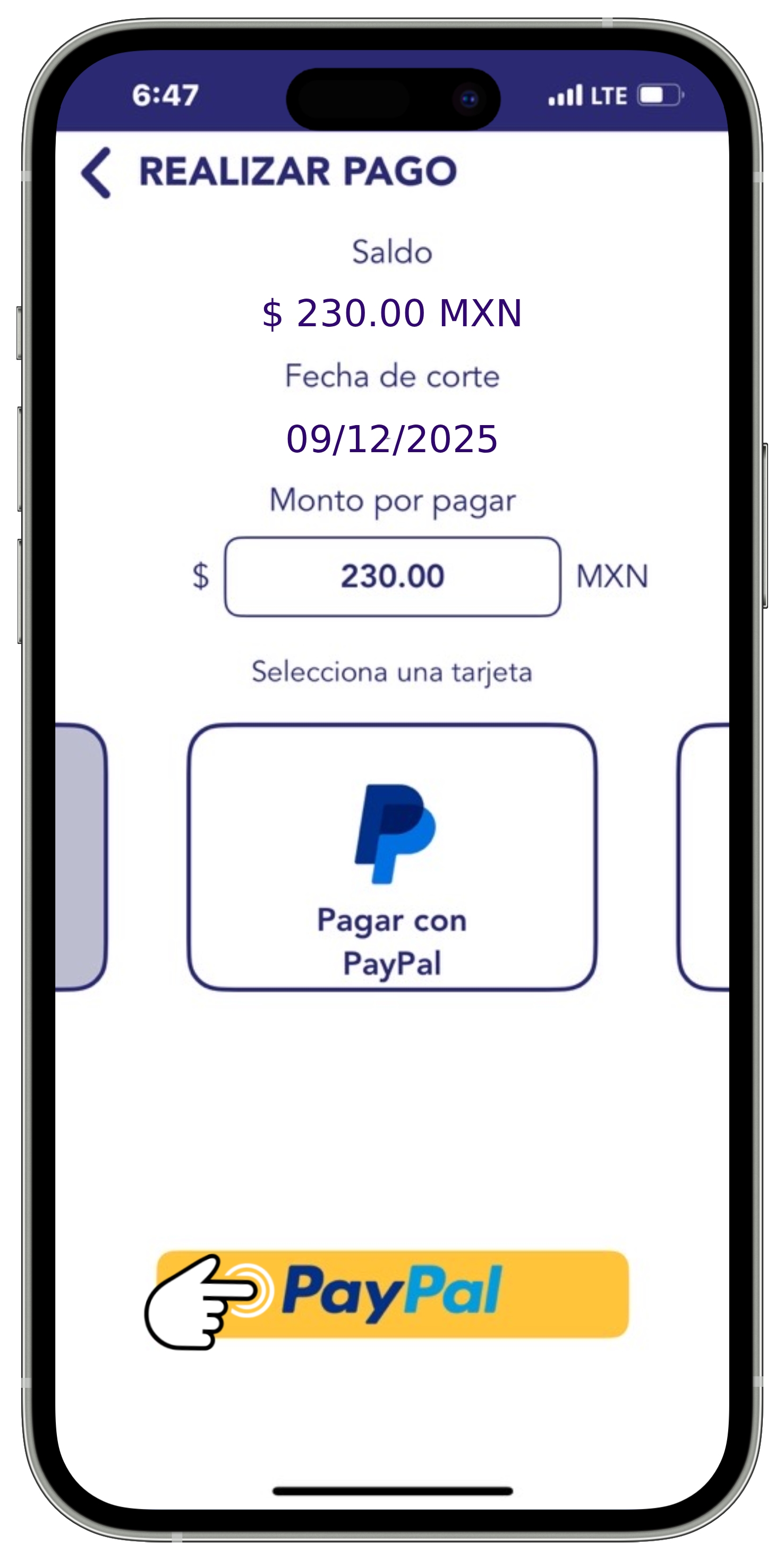 App BT - Pago 5.jpg