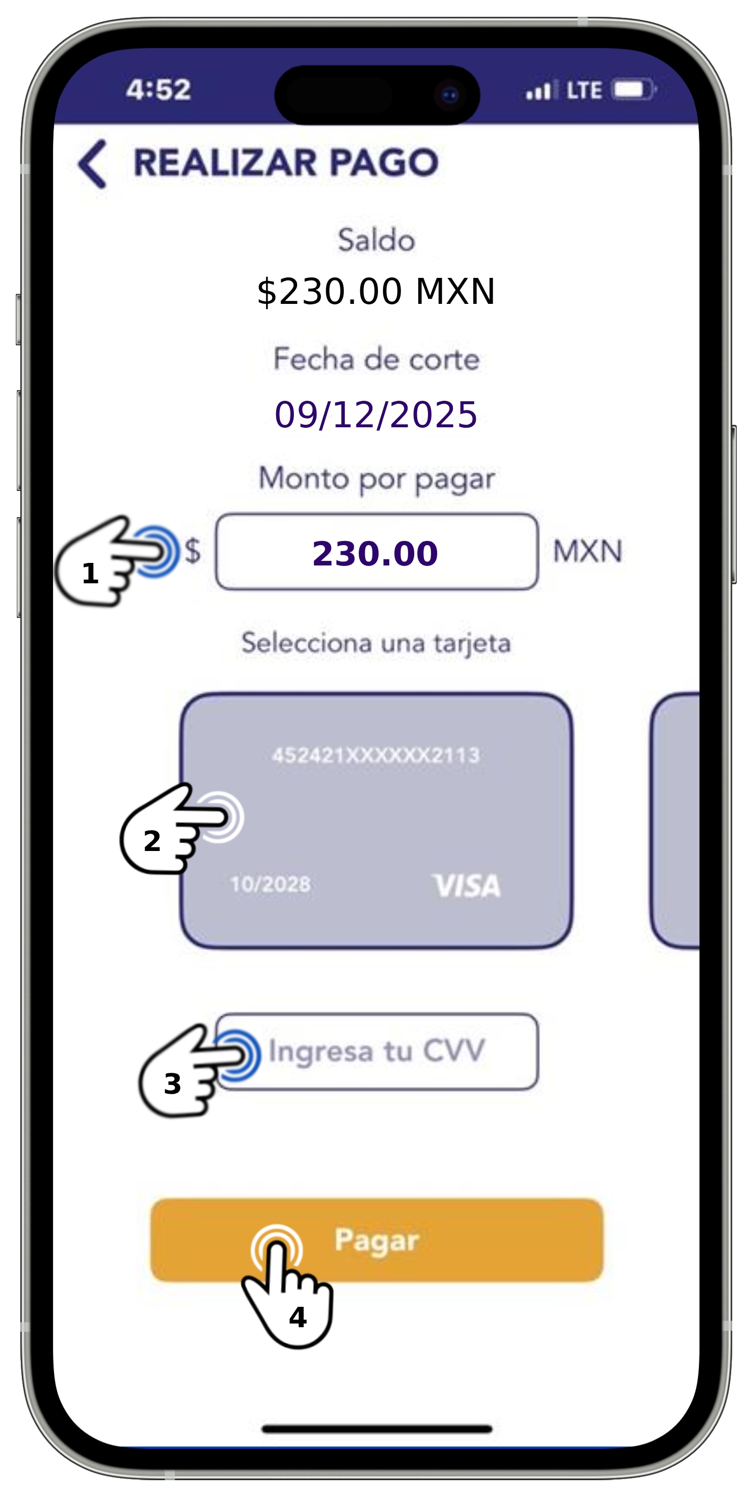 App BT - Pago 1.jpg