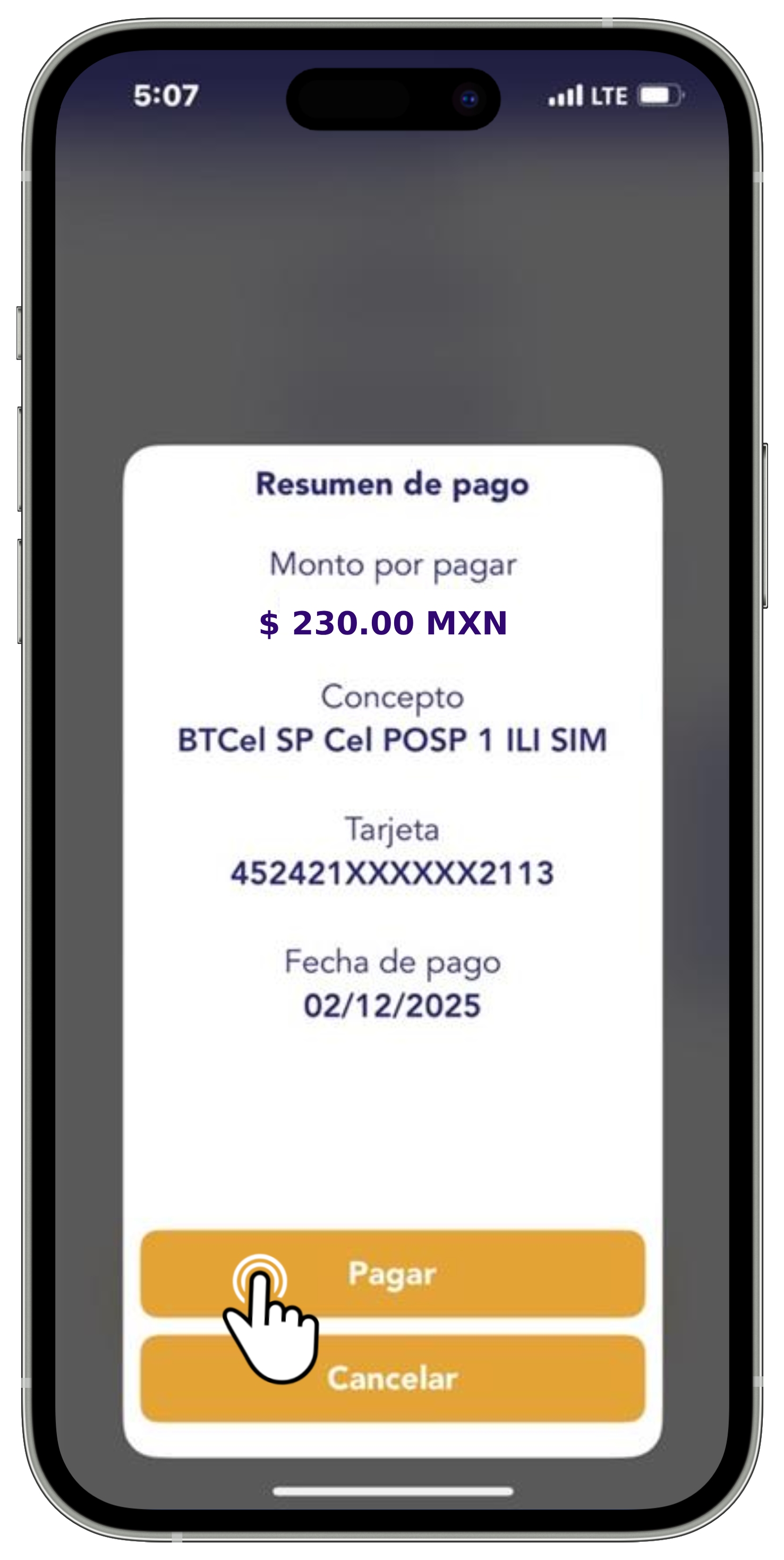 App BT - Pago 2.jpg