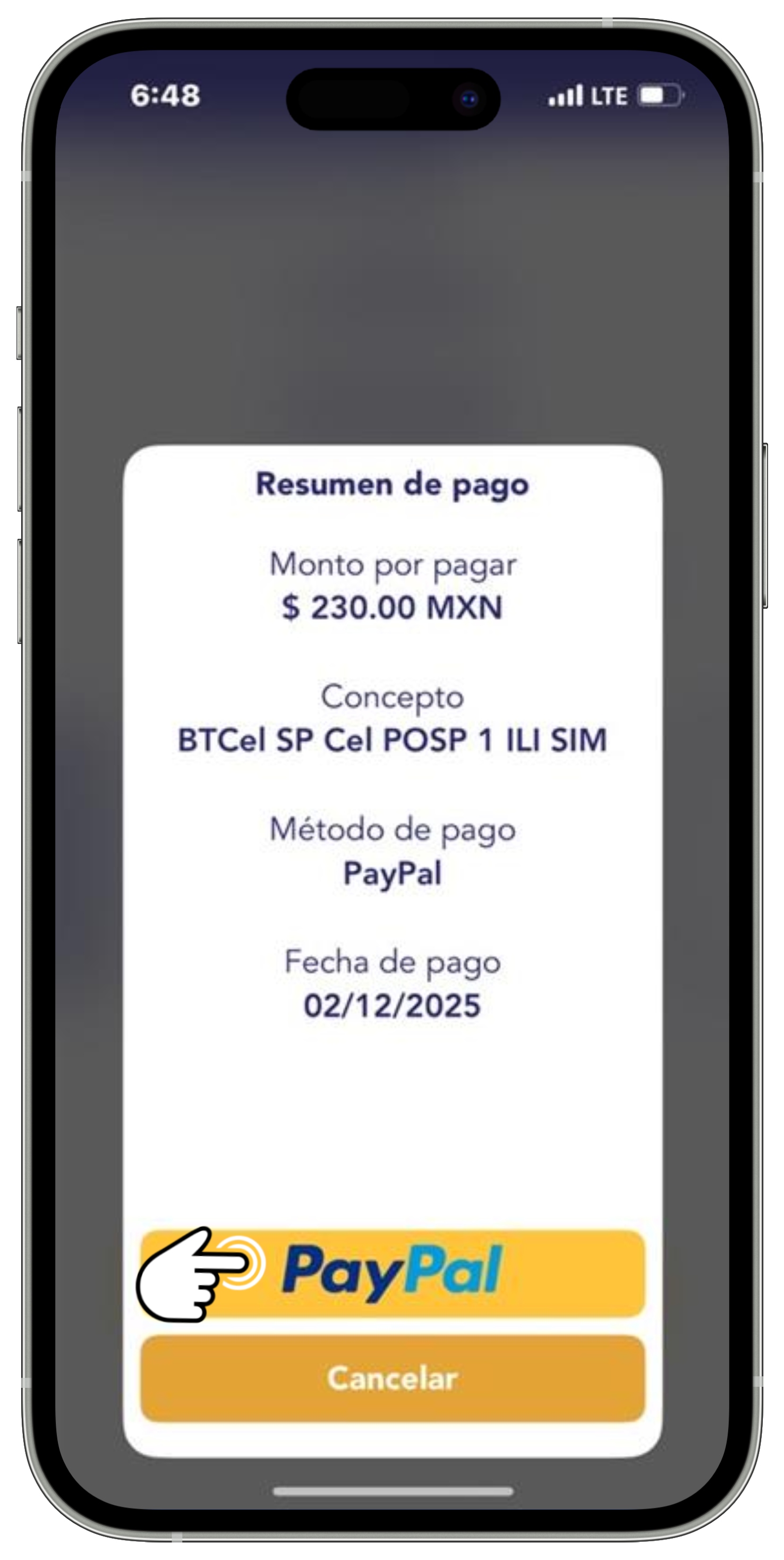 App BT - Pago 4.jpg