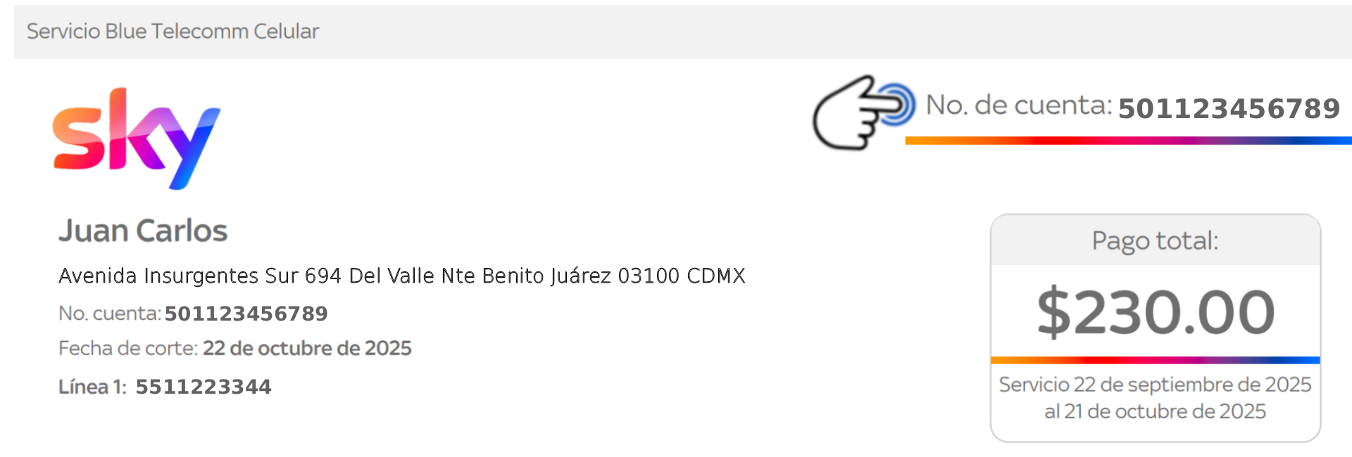 Estado de cuenta BT - Número de cuenta seleccionado.jpg