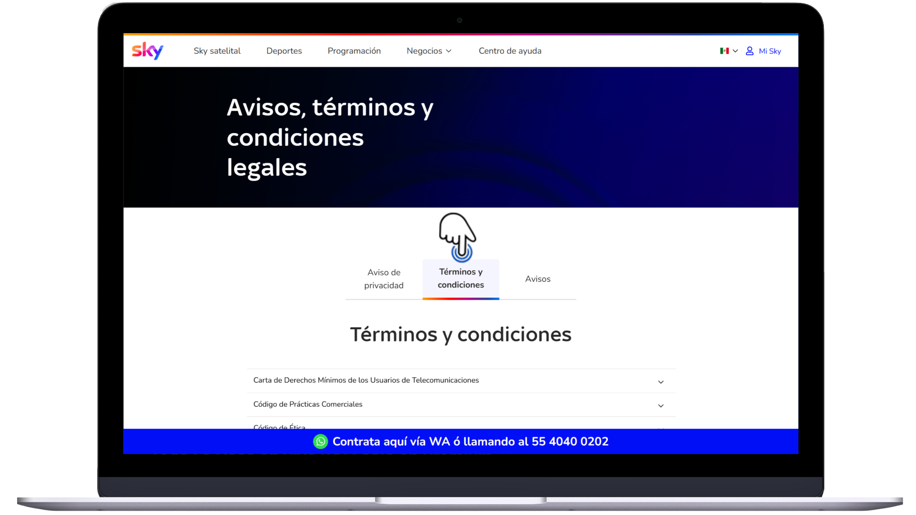 Página oficial Sky - Términos y condiciones 2.jpg