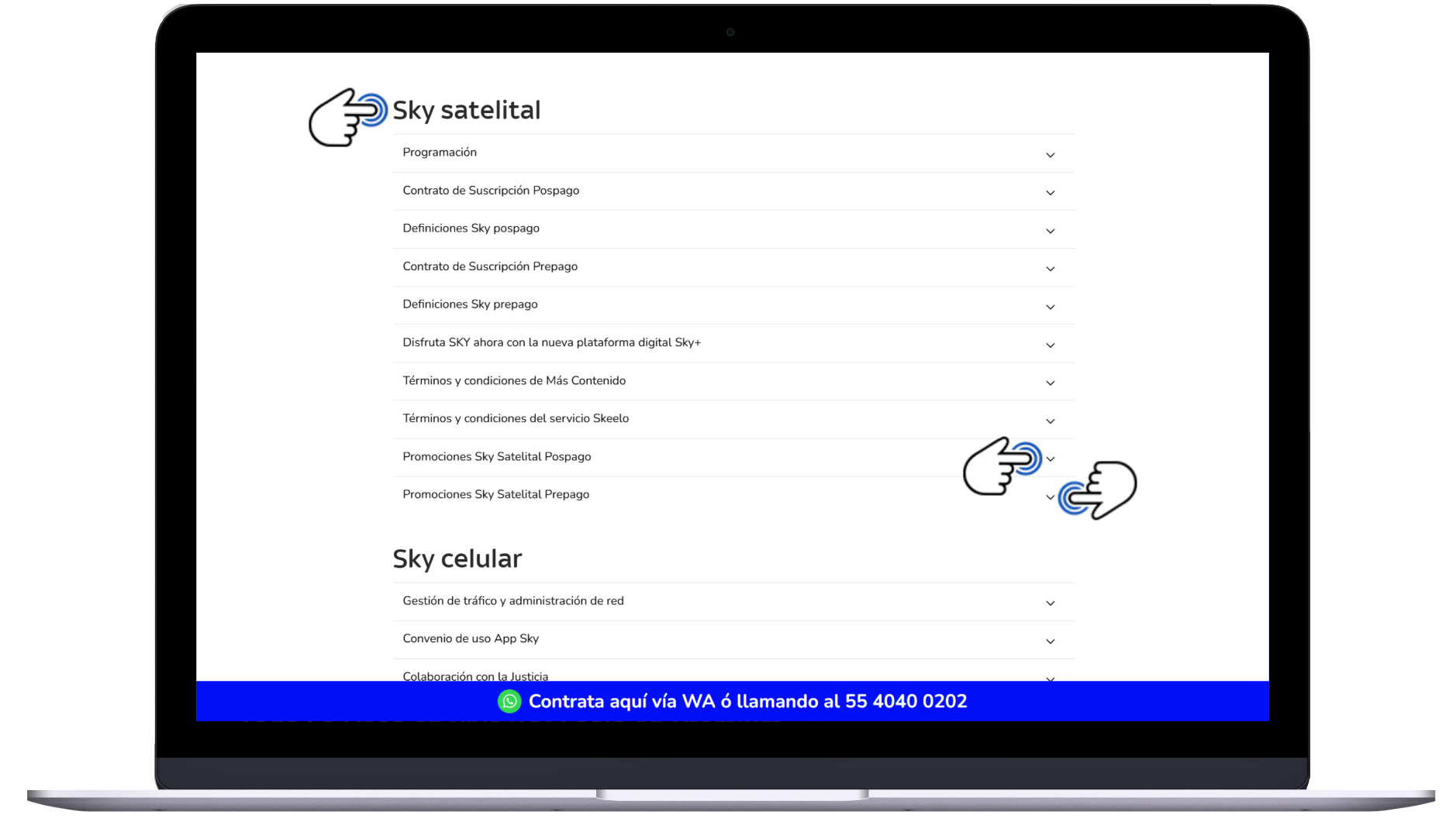 Página oficial Sky - Costo de paquetes Prepago - Términos y condiciones 1.jpg