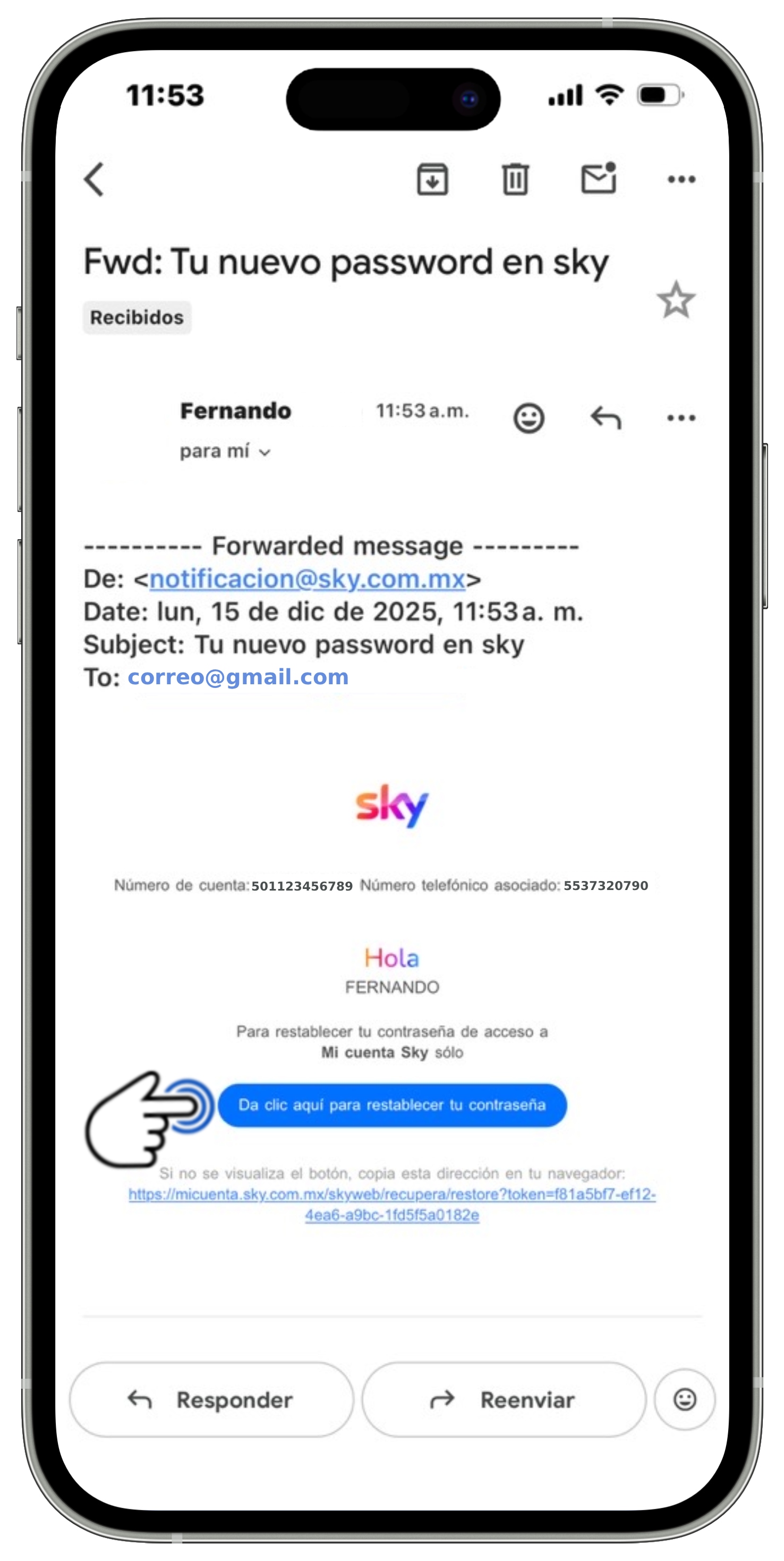 Mi App Sky - Recuperación de contraseña 4.jpg