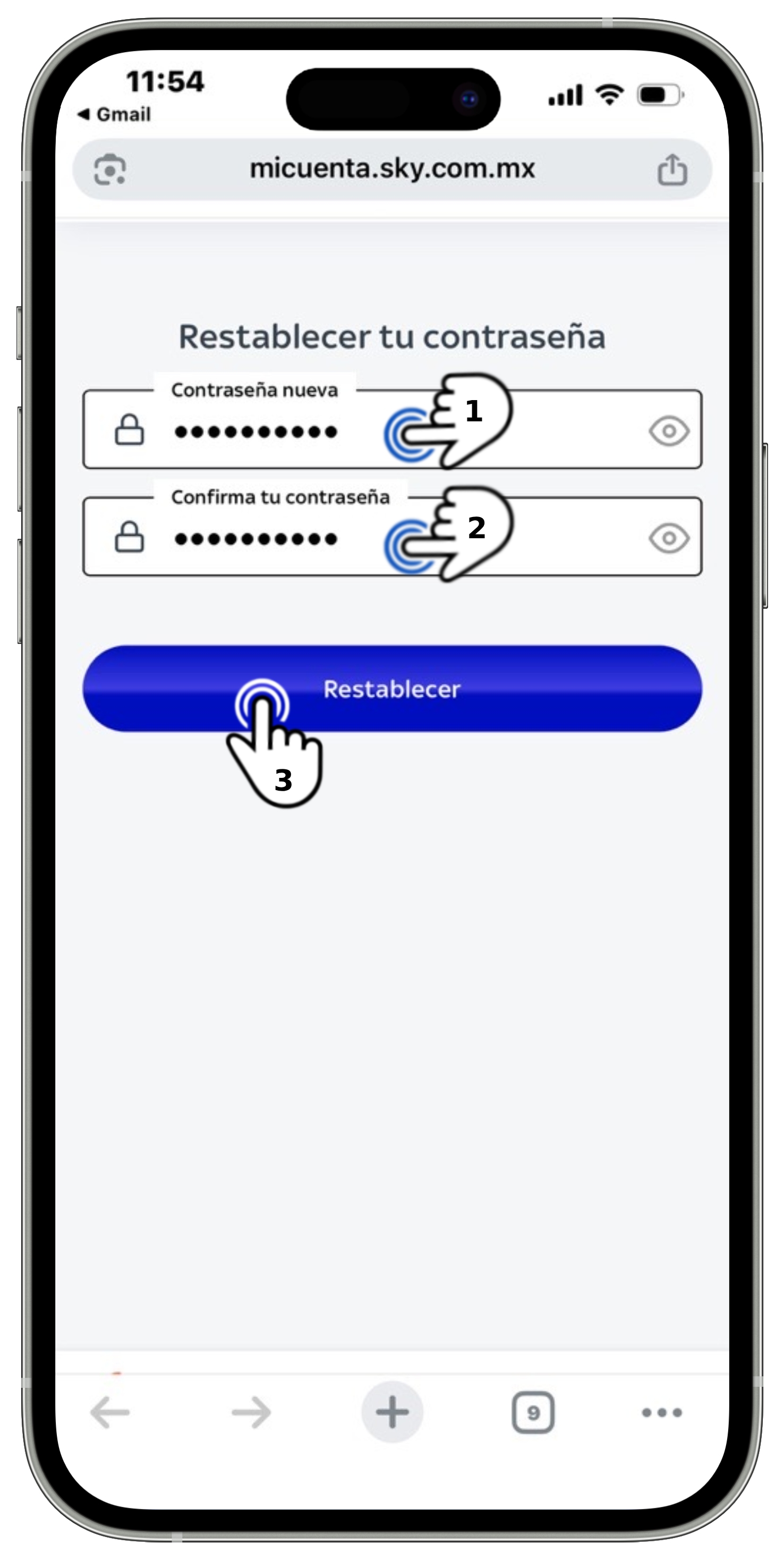 Mi App Sky - Recuperación de contraseña 5.jpg