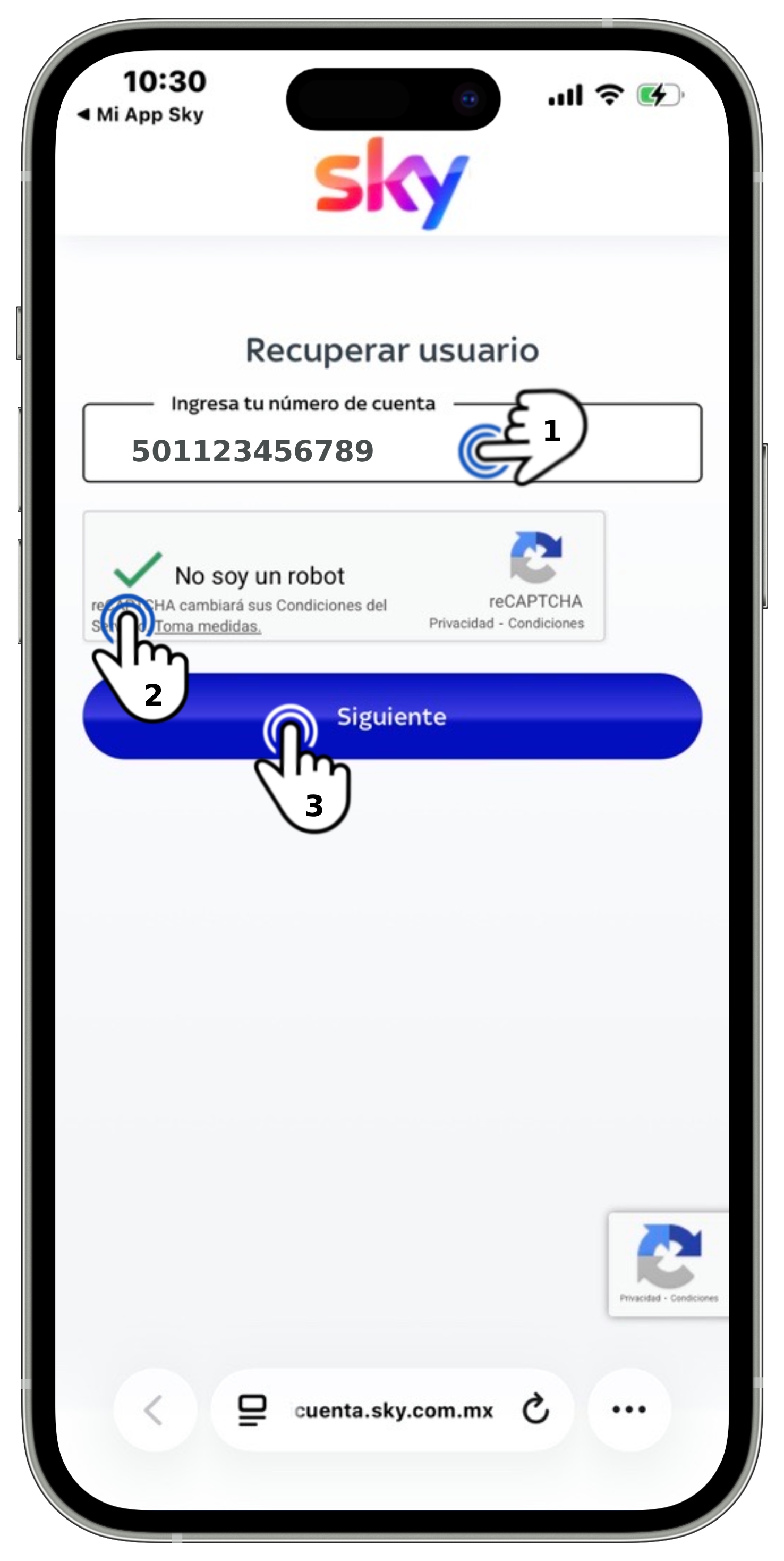 Mi App Sky - Recuperación de usuario 2.jpg