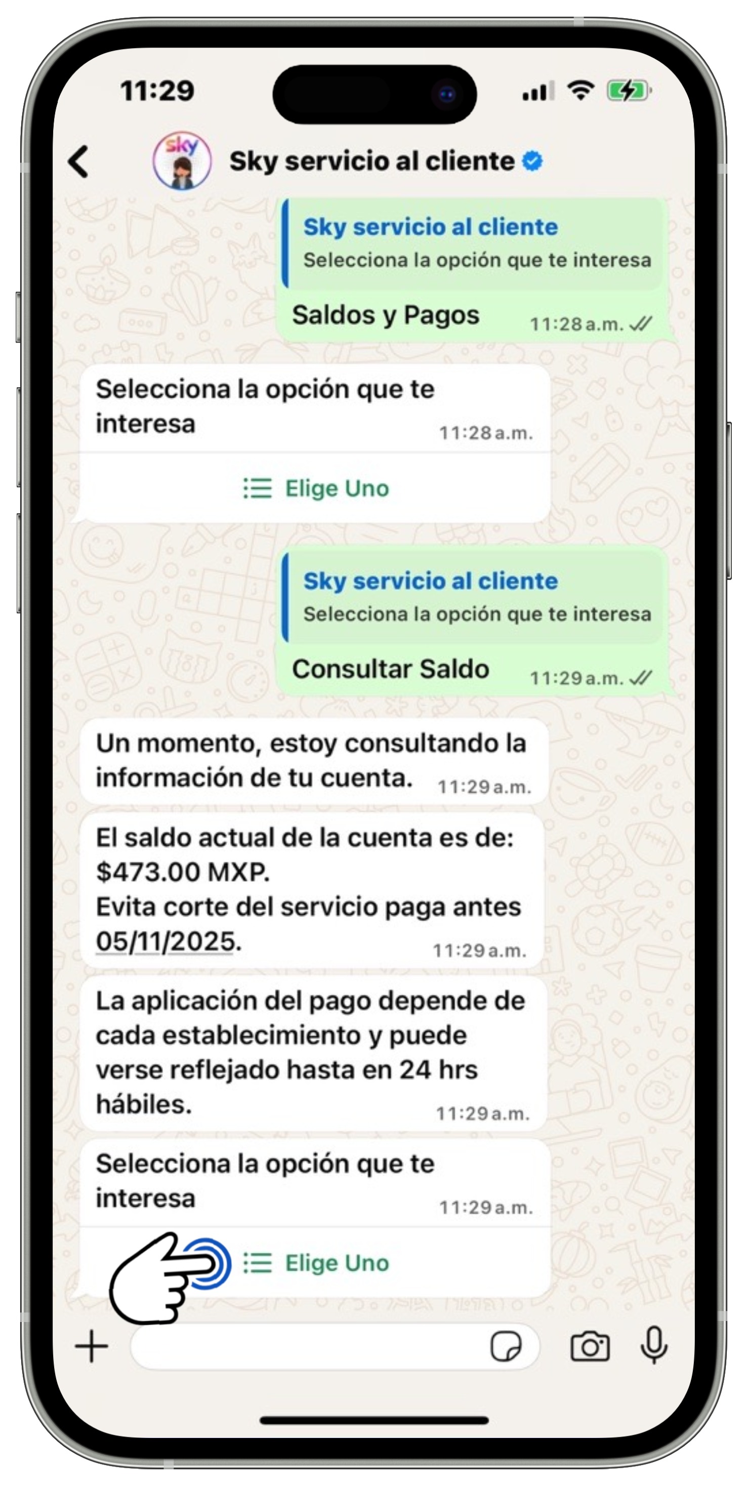 WhatsApp - Saldo de la cuenta.jpg