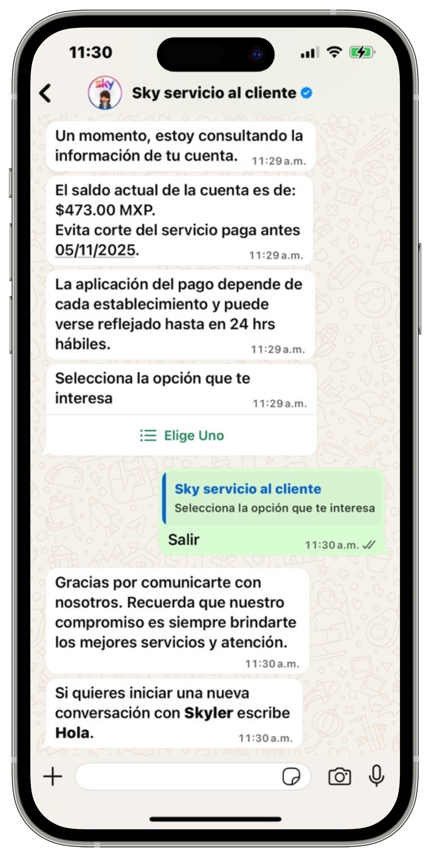 WhatsApp - Finalización de chat.jpg