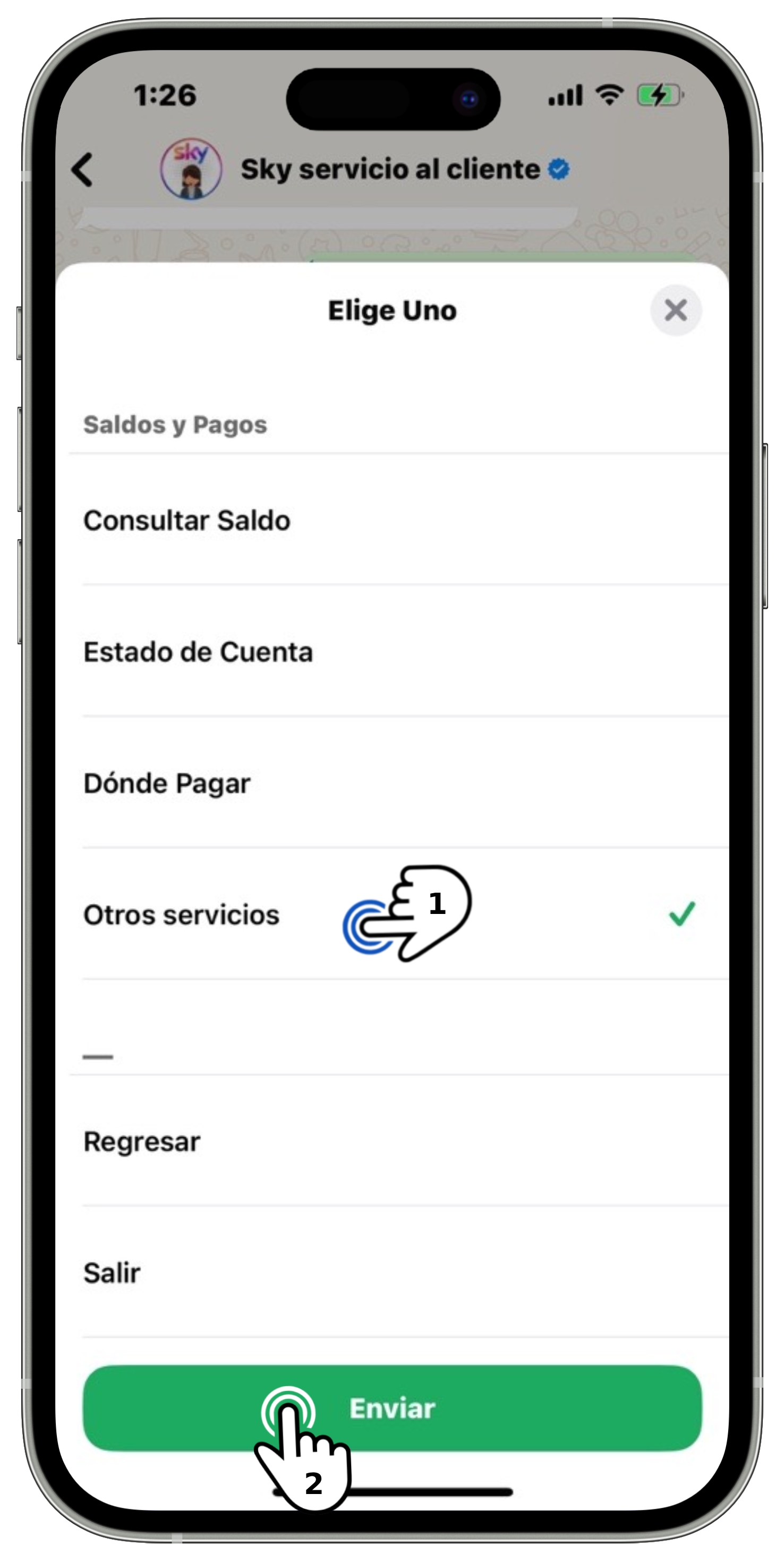 WhatsApp - Menú Saldos y Pagos -  Menú Otros Servicios - Botón enviar seleccionado.jpg