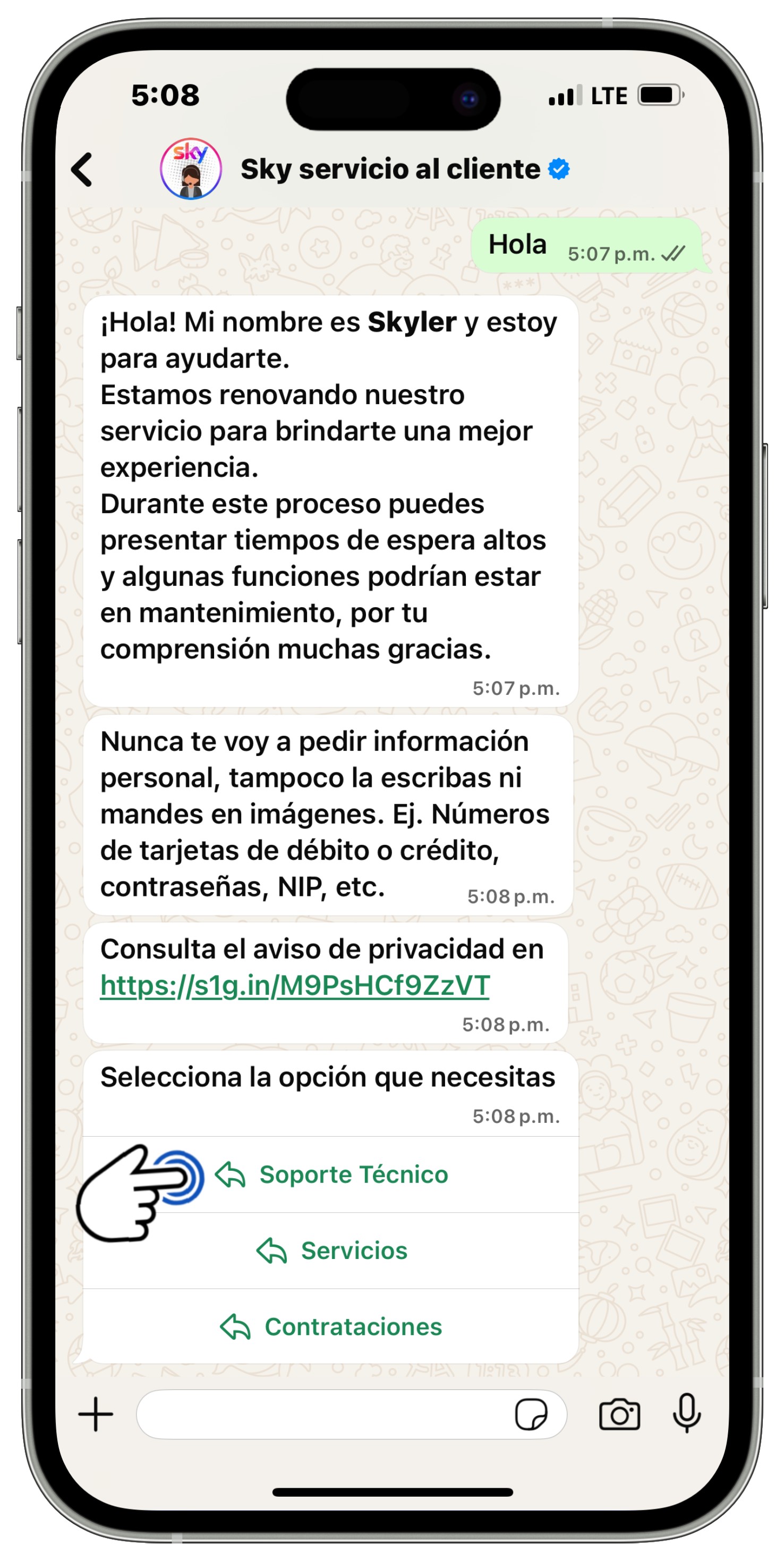 WhatsApp - Opción Soporte Técnico.jpg