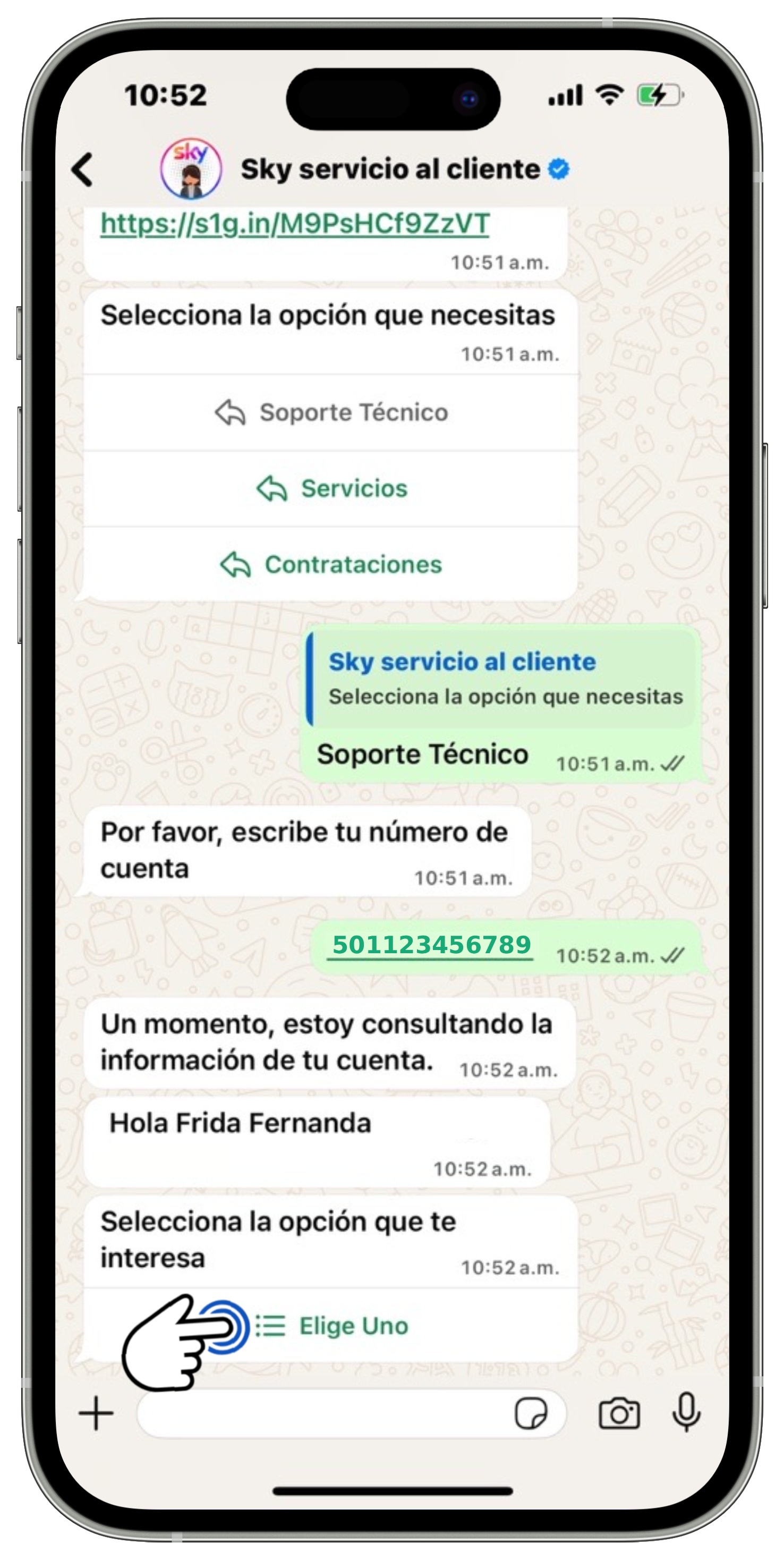 WhatsApp - Opción Soporte Técnico 2.jpg