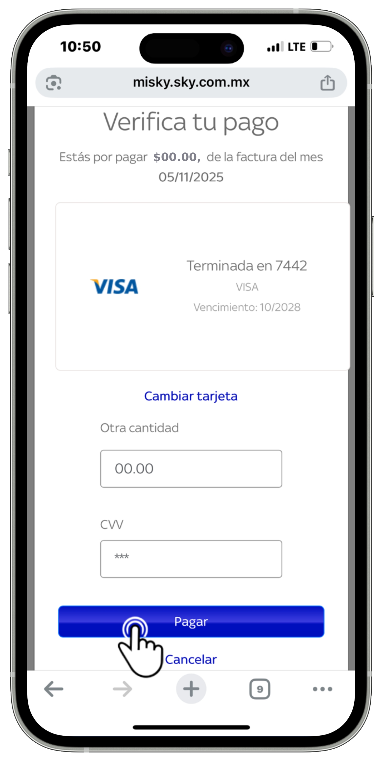 Mi Sky Centroamérica - Verifica tu pago - Pagar.jpg