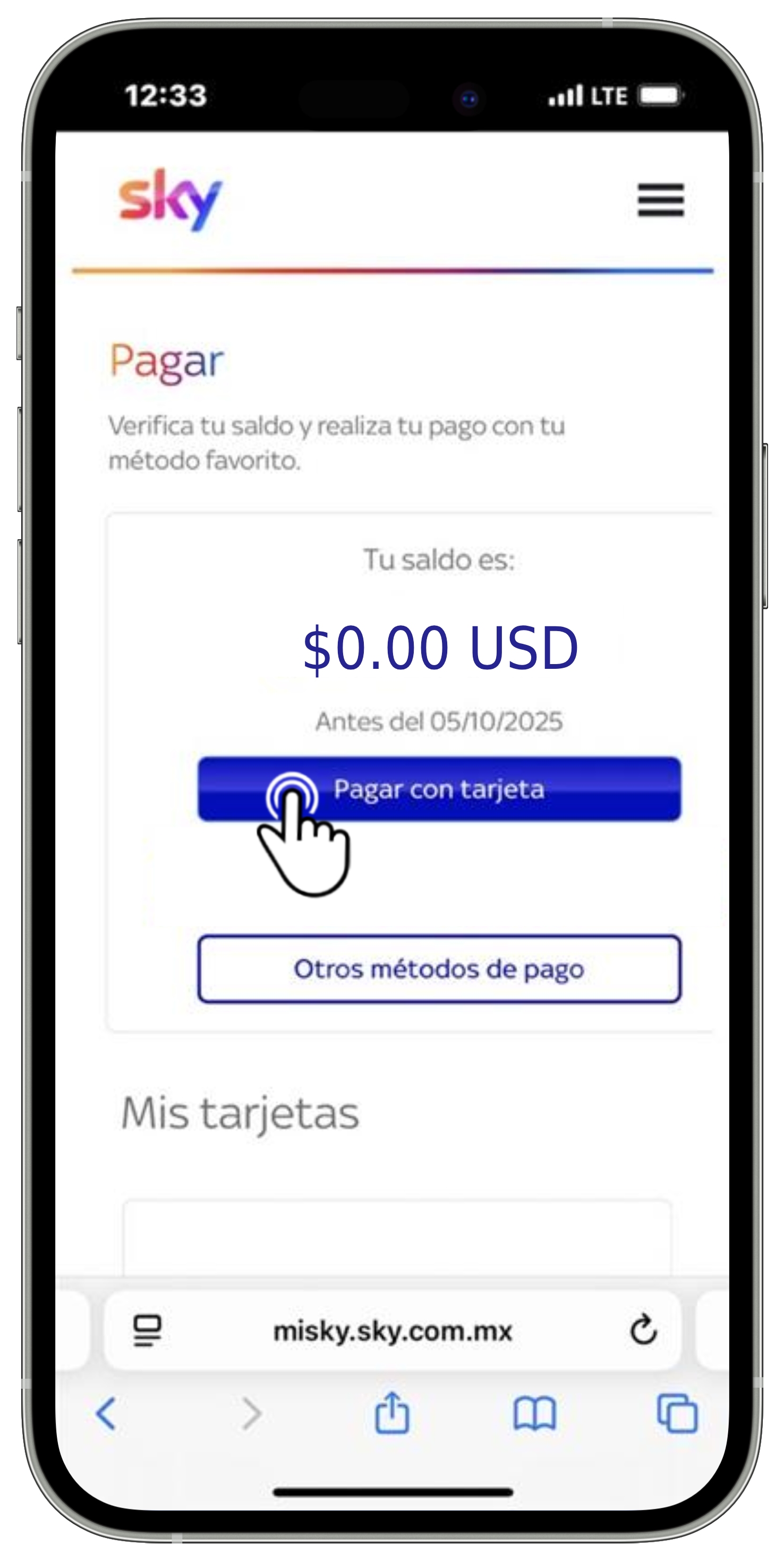 Mi Sky Centroamérica - Botón Pagar con tarjeta.jpg