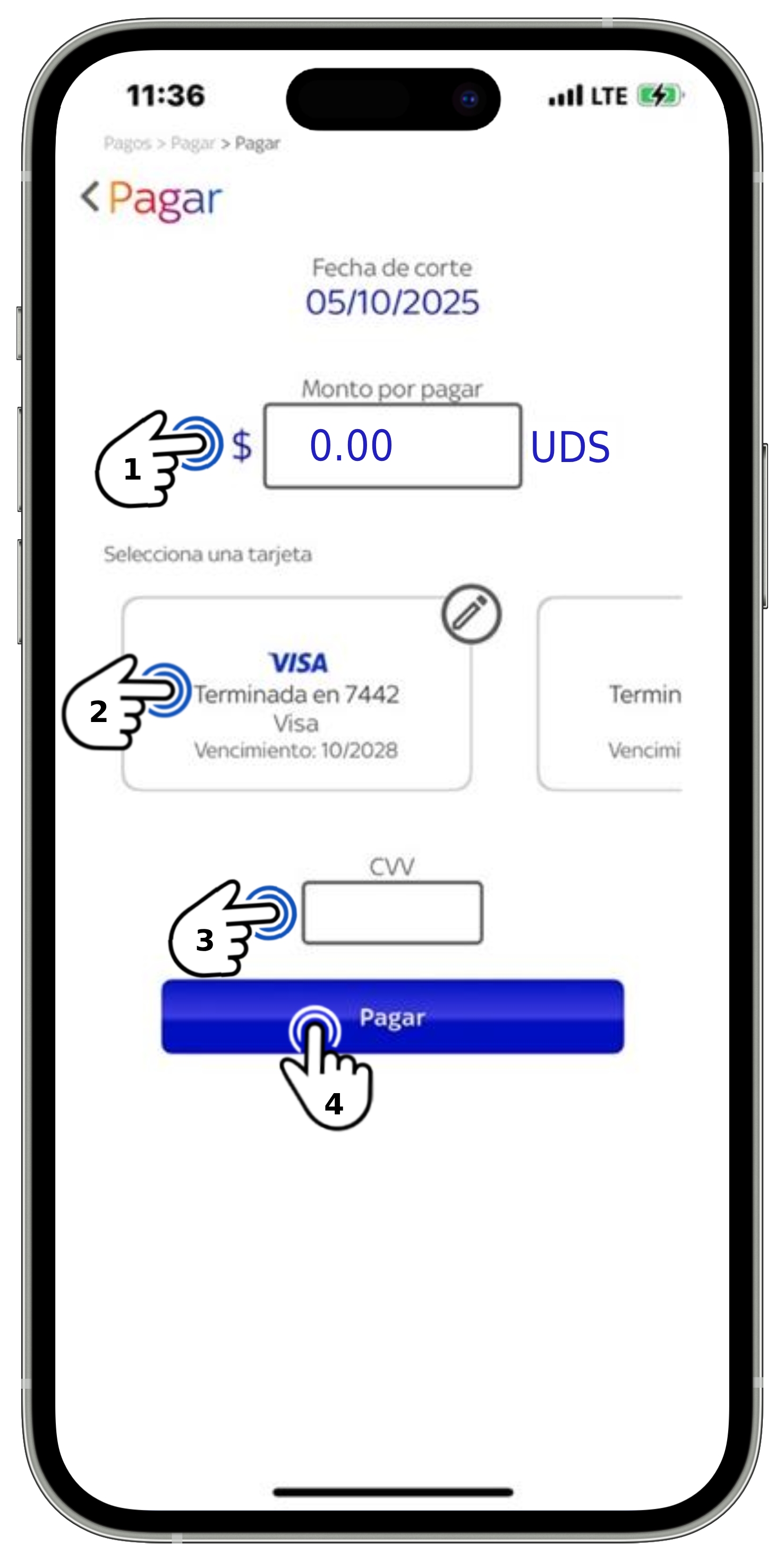App Sky Centroamérica - Botón Pagar 2.jpg