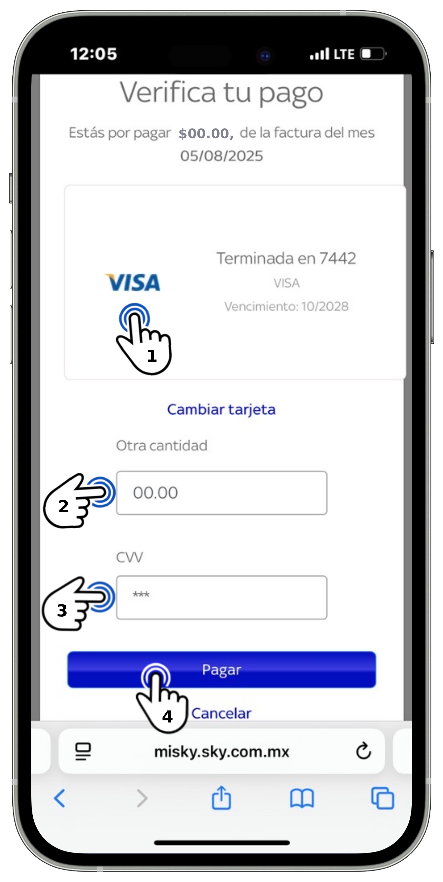 Mi Sky Centroamérica - Verifica tu pago 2.jpg