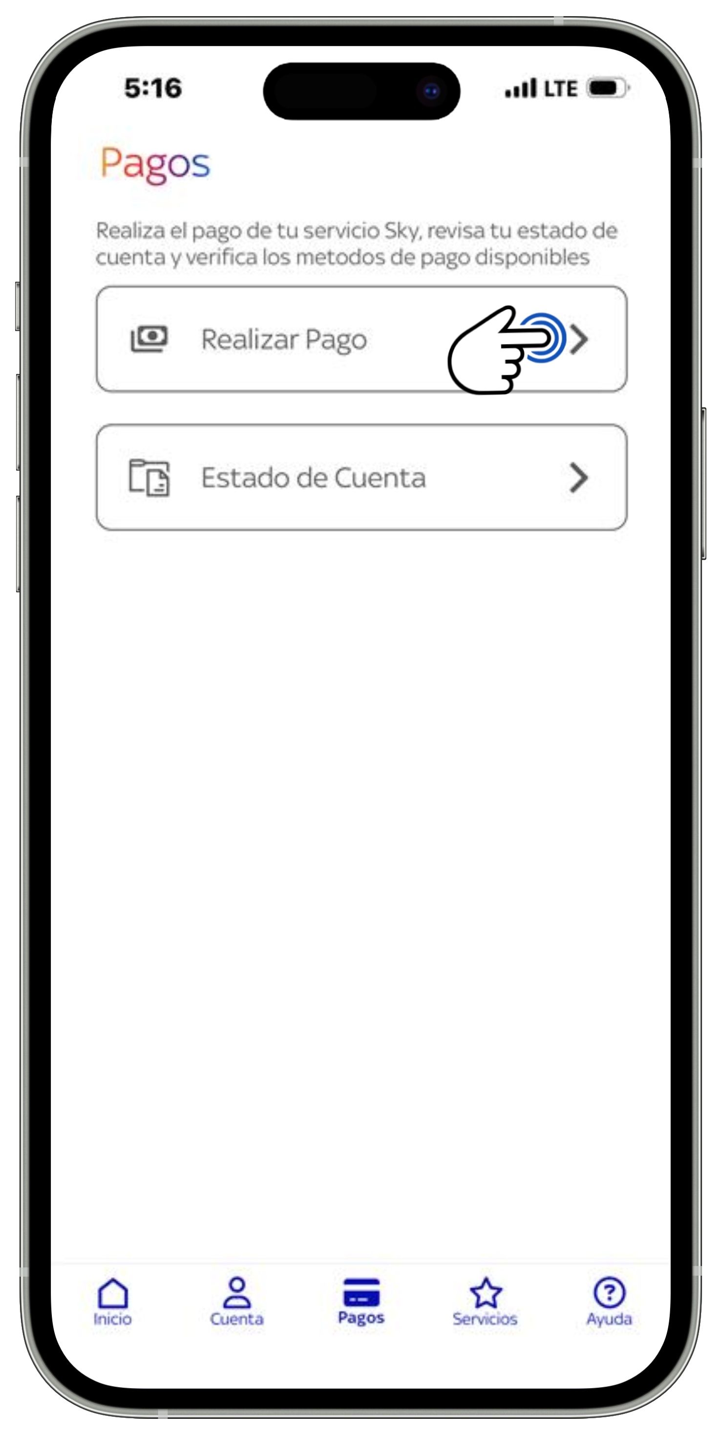 App Sky Centroamérica - Menú Pagos - Realizar pago.jpg