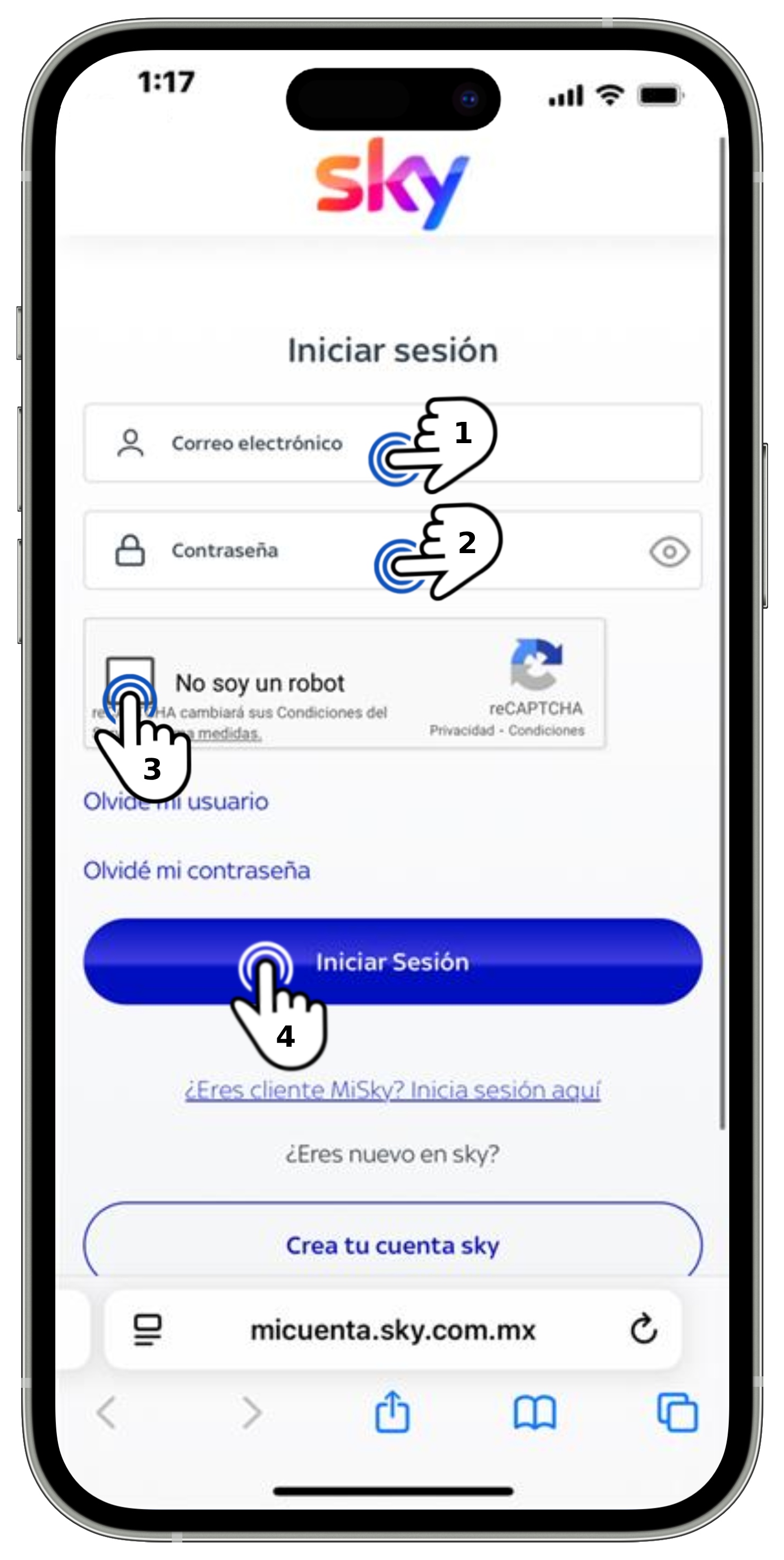 Mi cuenta Sky - Datos para iniciar sesión.jpg