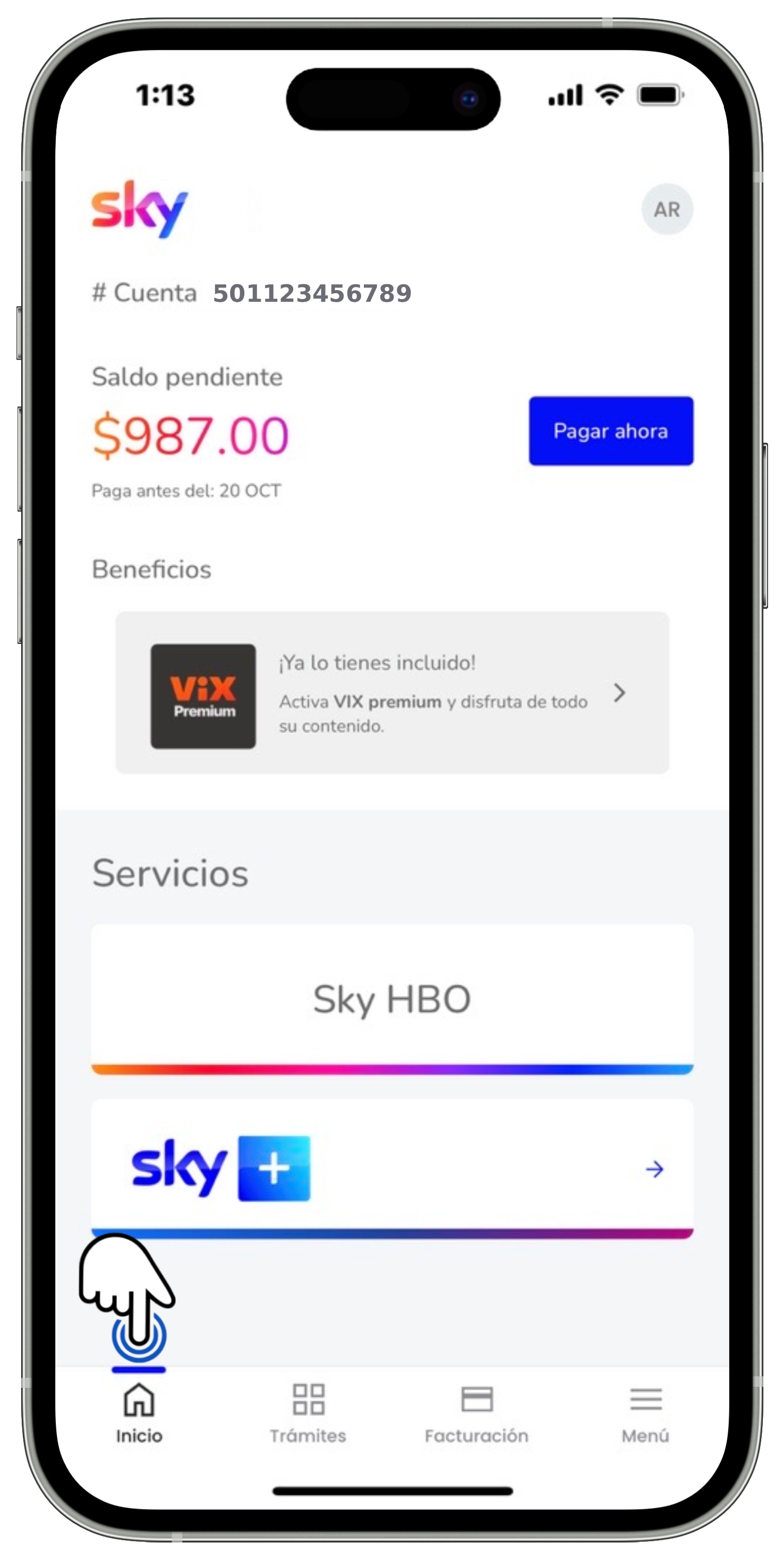Mi App Sky - Pantalla de inicio.jpg