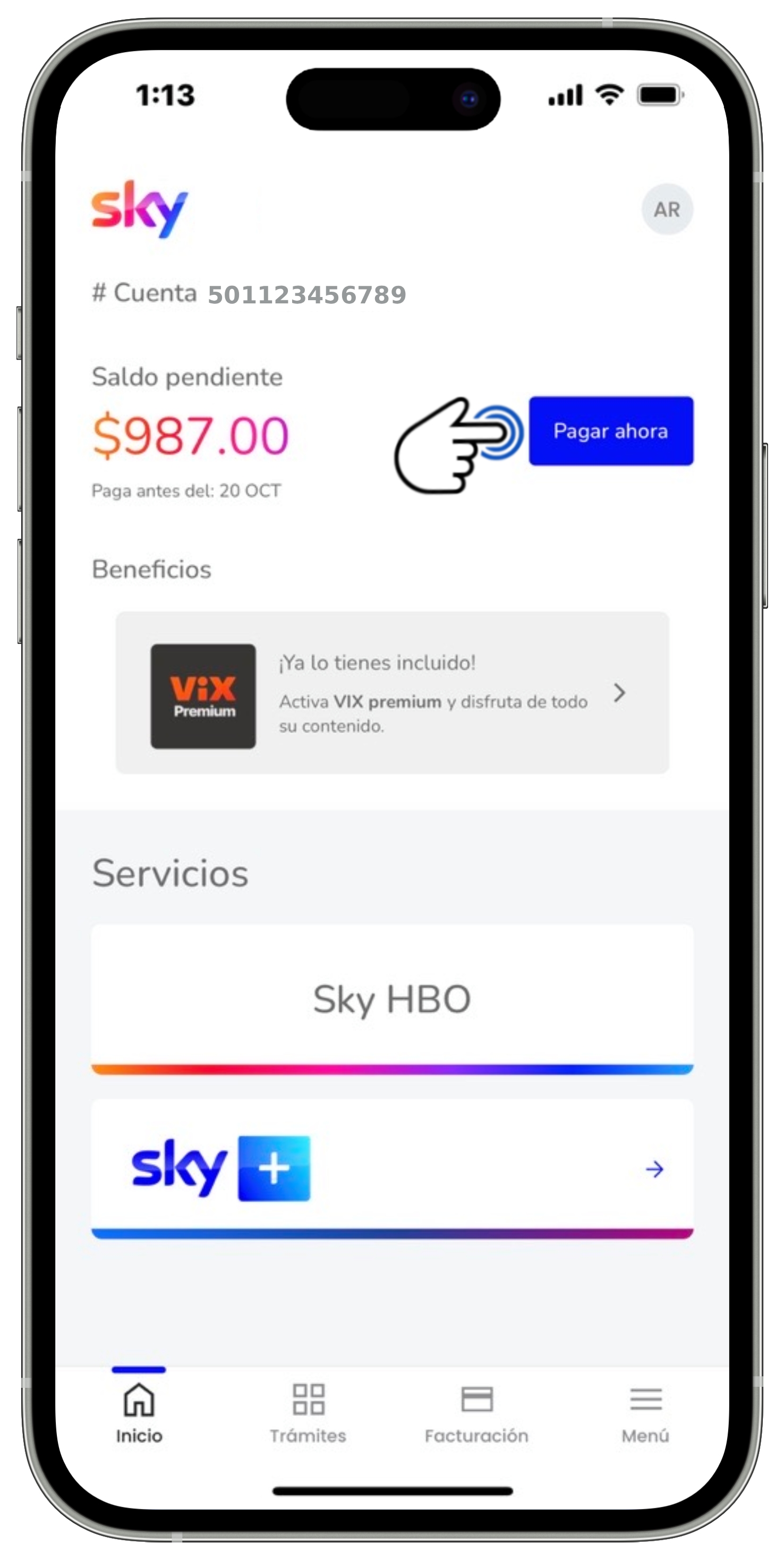 Mi App Sky - Pantalla de inicio - Botón Pagar ahora seleccionado.jpg