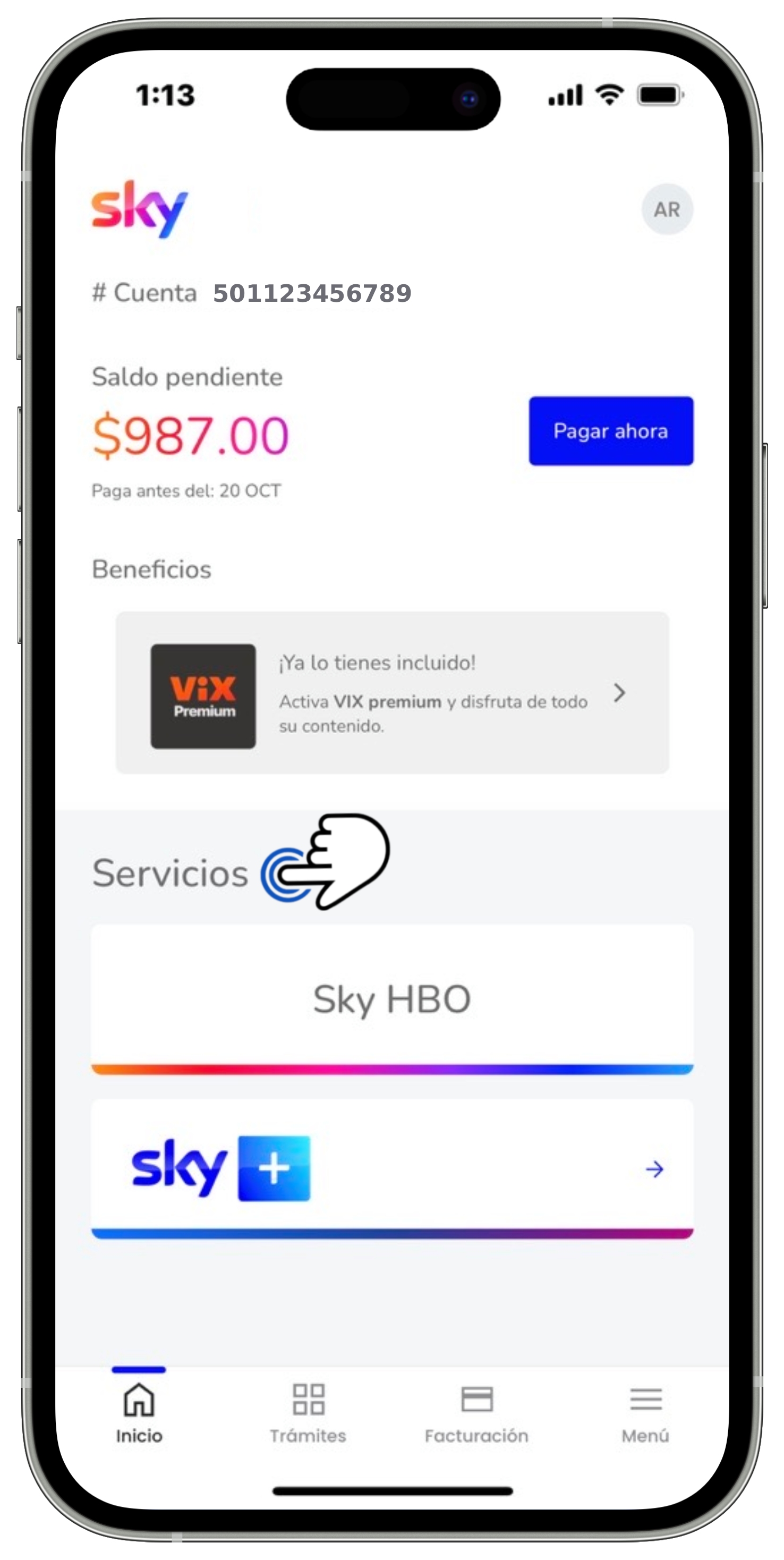 Mi App Sky - Pantalla de inicio - Sección Servicios.jpg