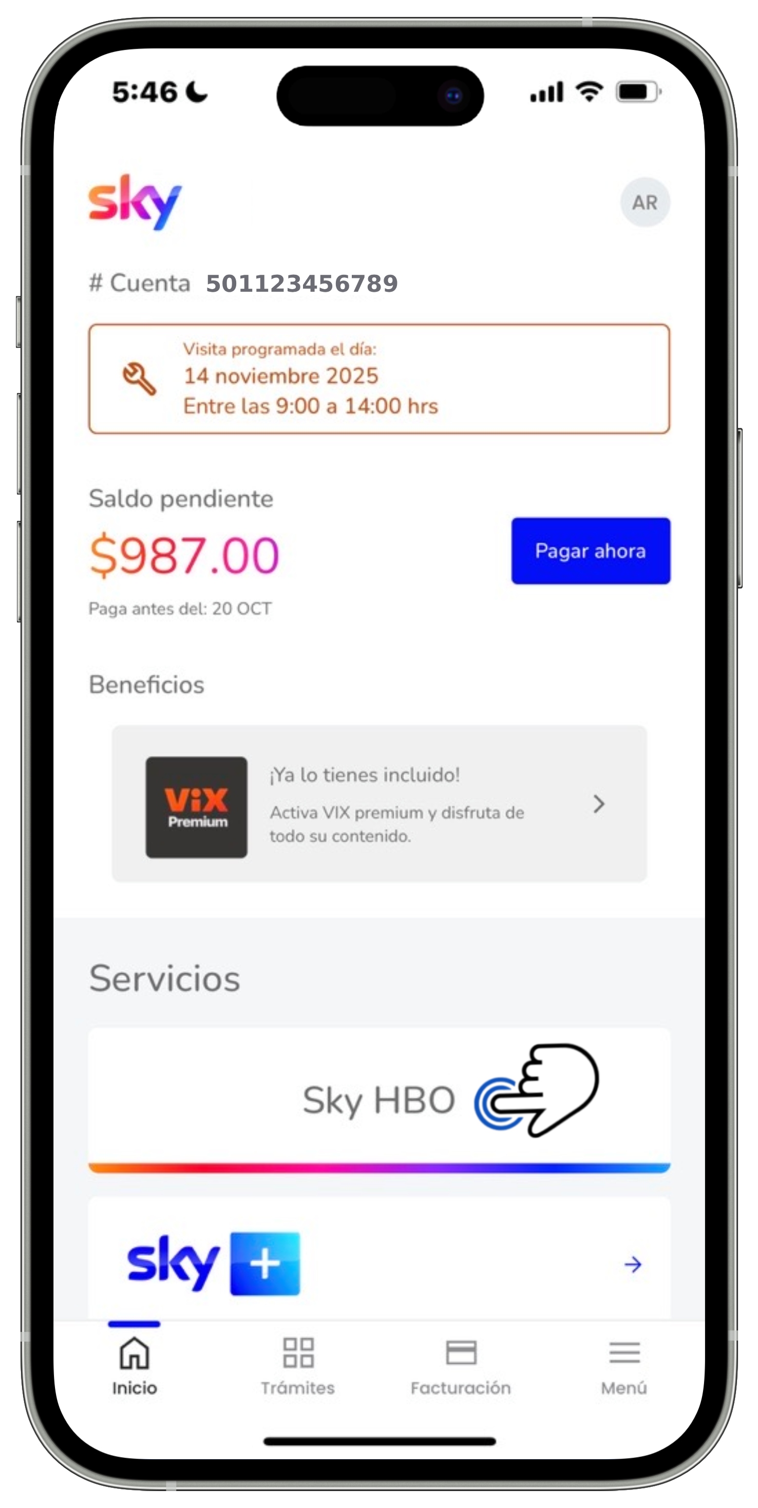 Mi App Sky - Pantalla de inicio - Sección Servicios - Servicio seleccionado.jpg
