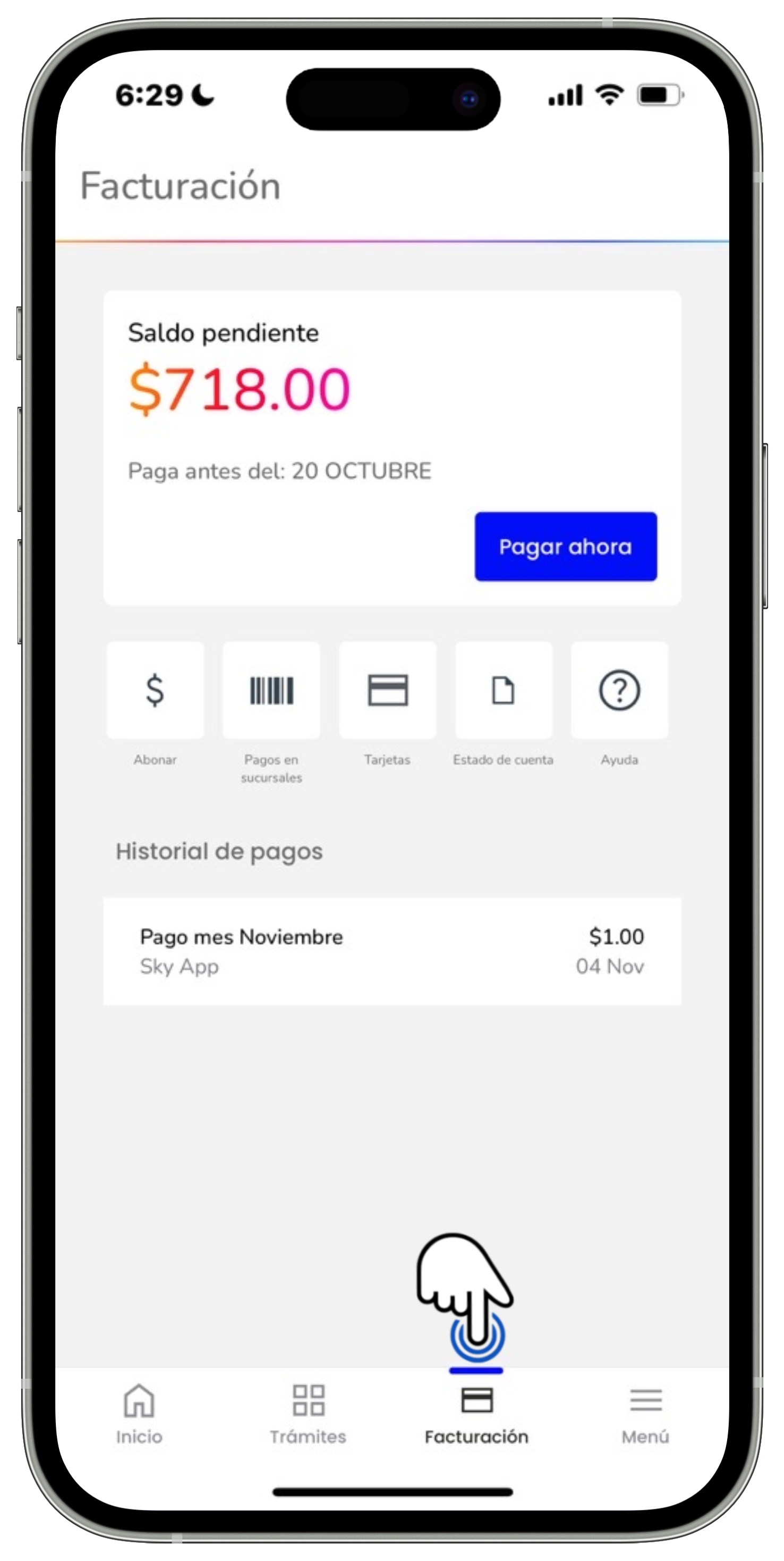 Mi App Sky - Facturación.jpg