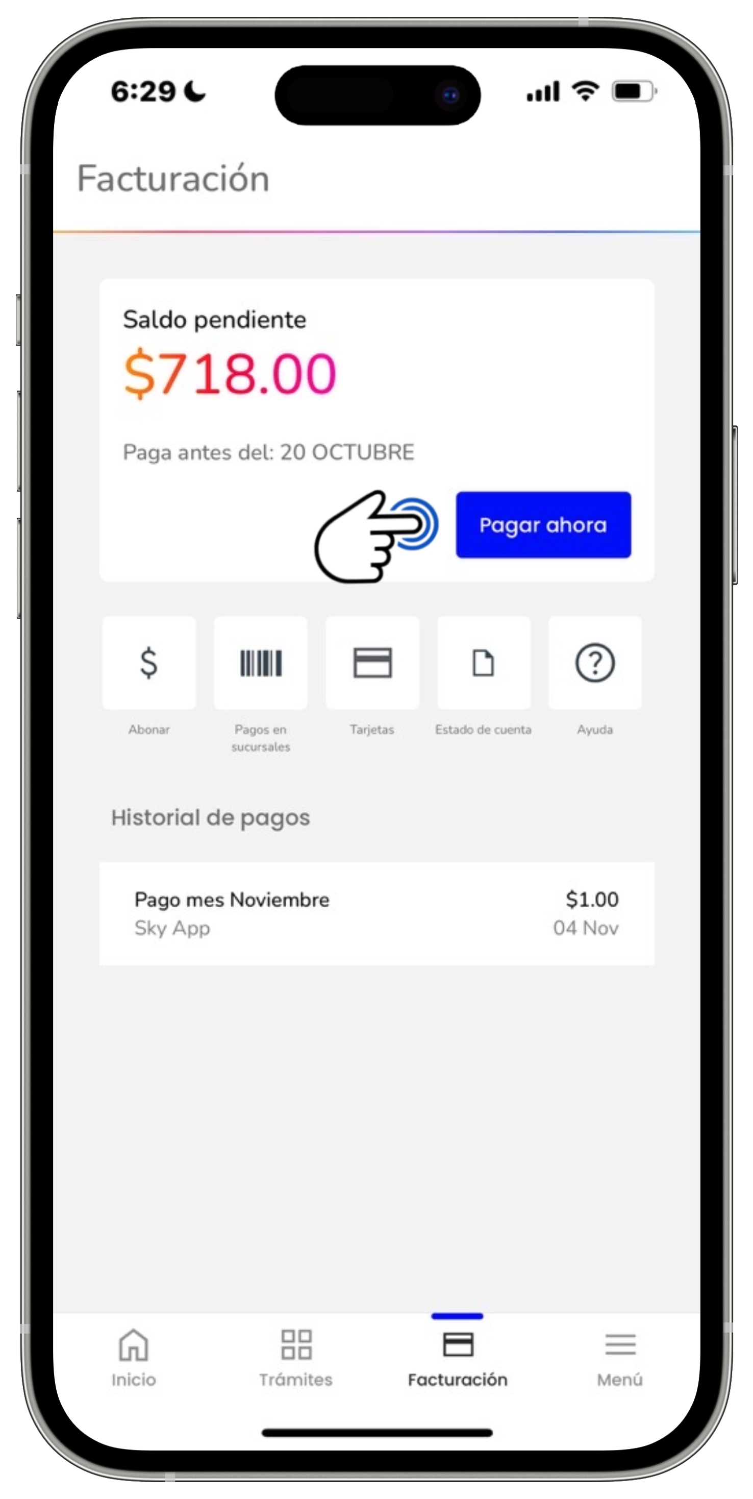Mi App Sky - Facturación - Botón Pagar ahora.jpg