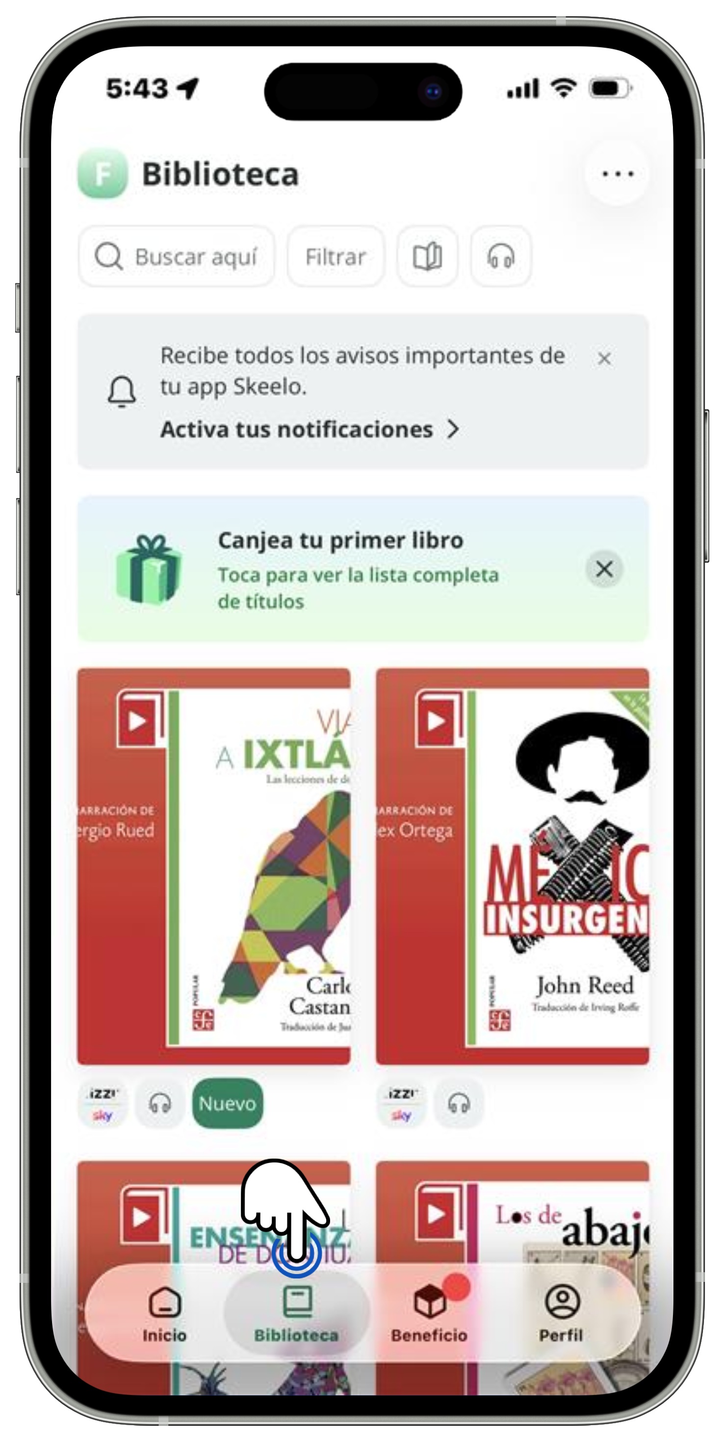 Skeelo - Biblioteca VF.jpg