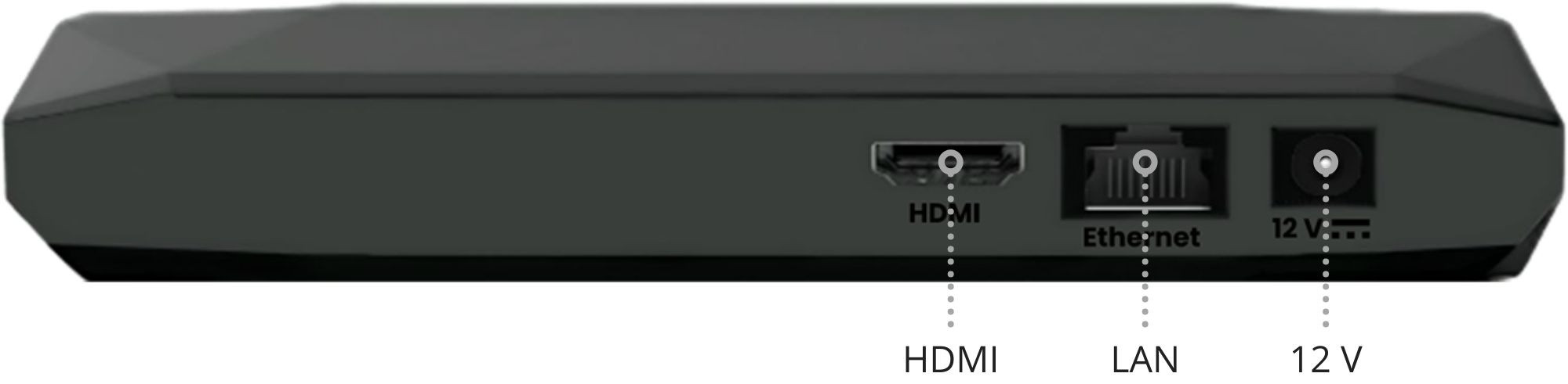 Kaon Bonotnes Panel Posterior.jpg