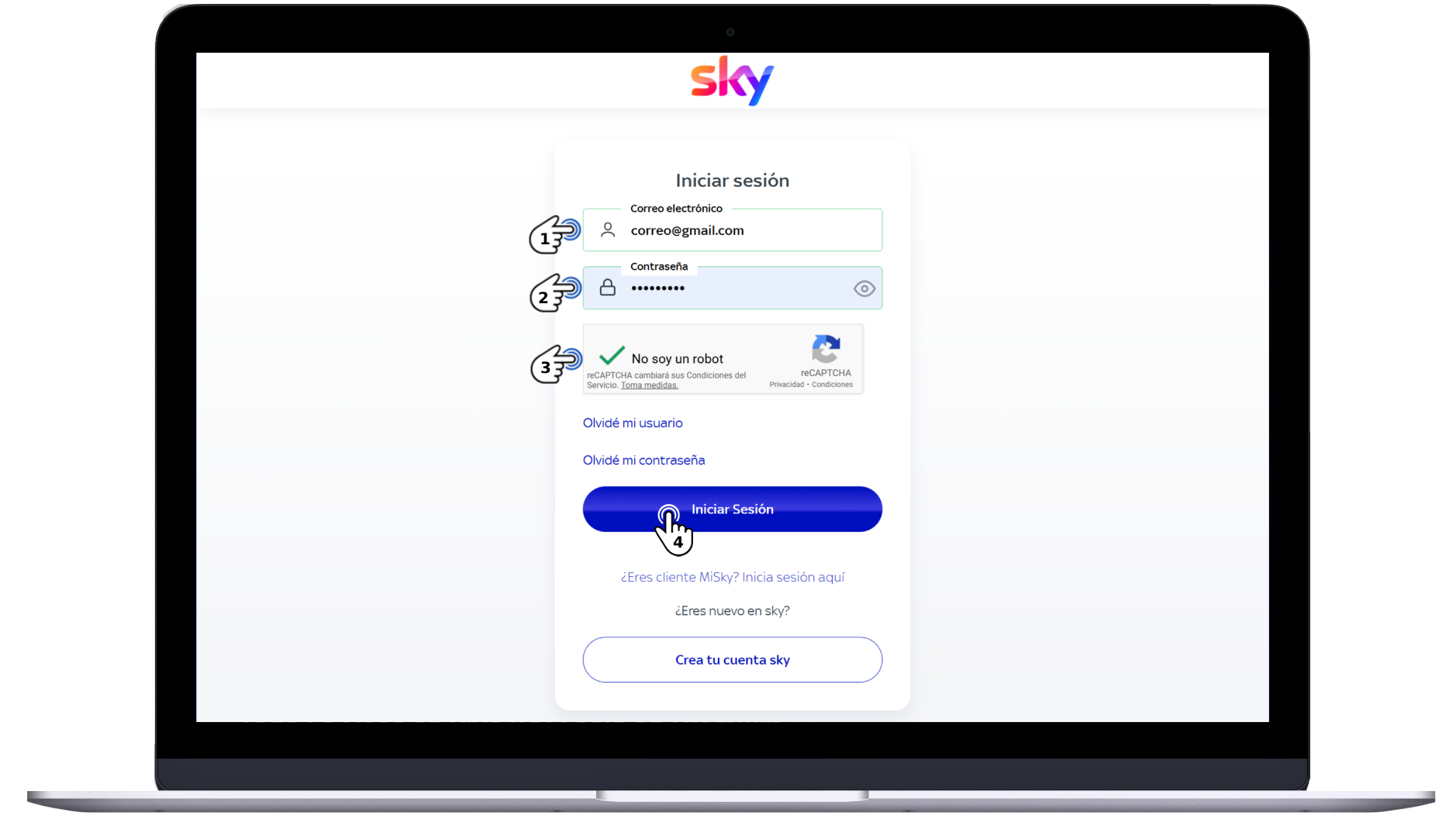 Mi cuenta Sky - Pago 1.jpg