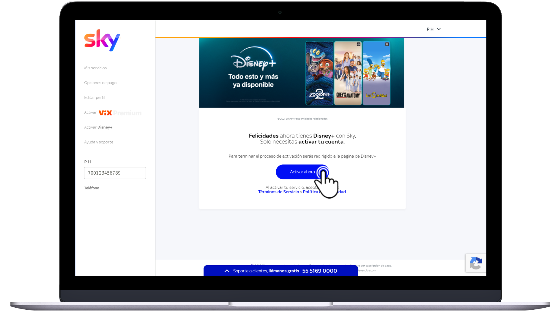 Activación de Disney+ con Sky - Web 2.png