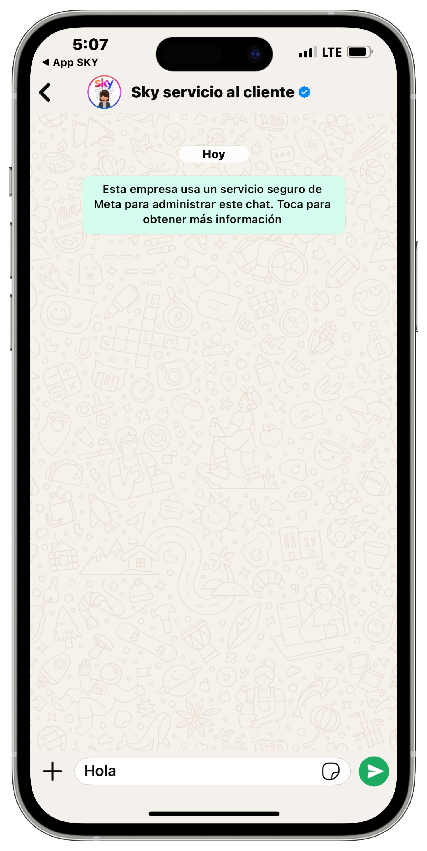 6. Chat en WhatsApp.jpg