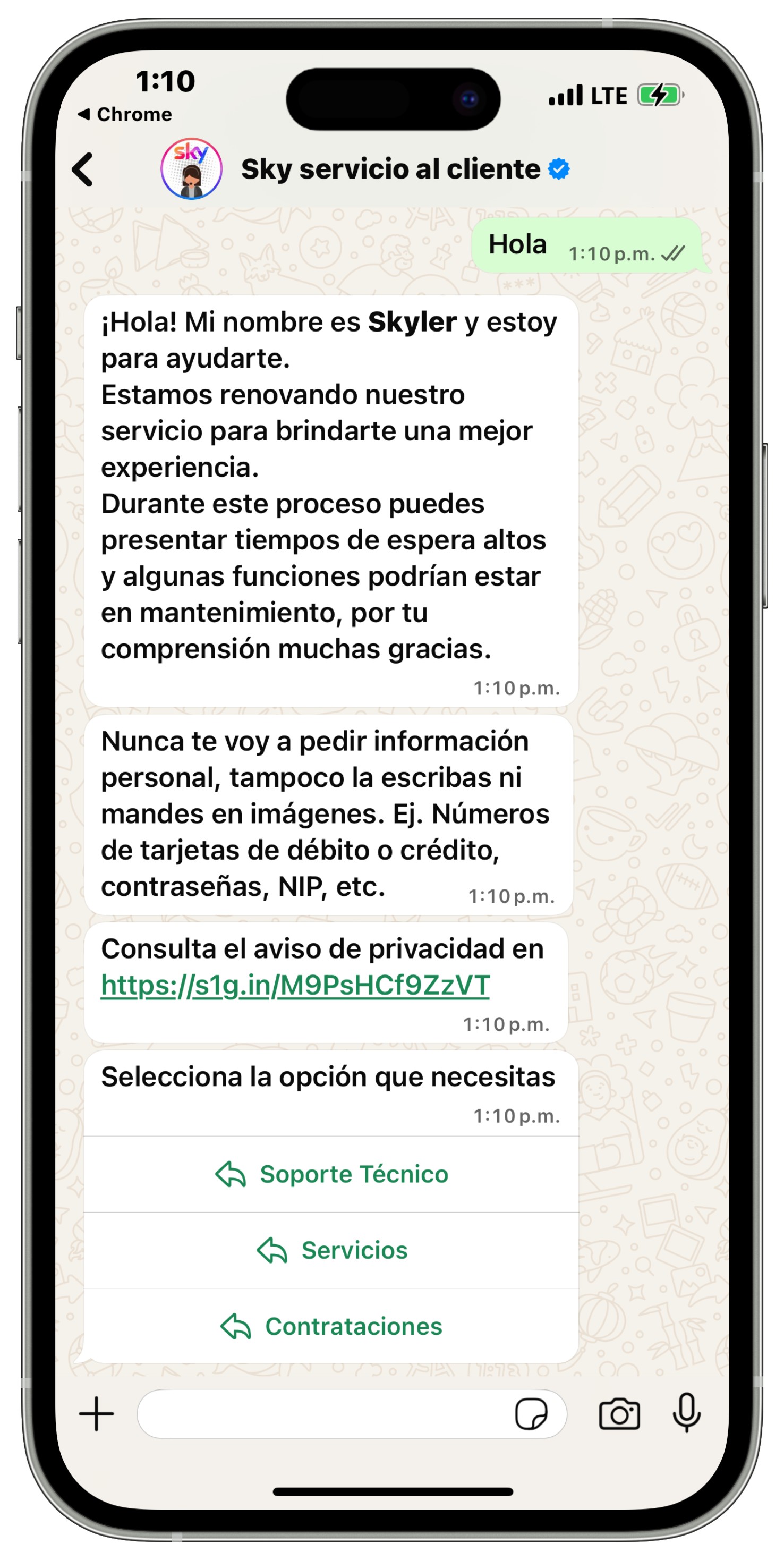 9. Opciones Chatbot WhatsApp Mi Sky.jpg