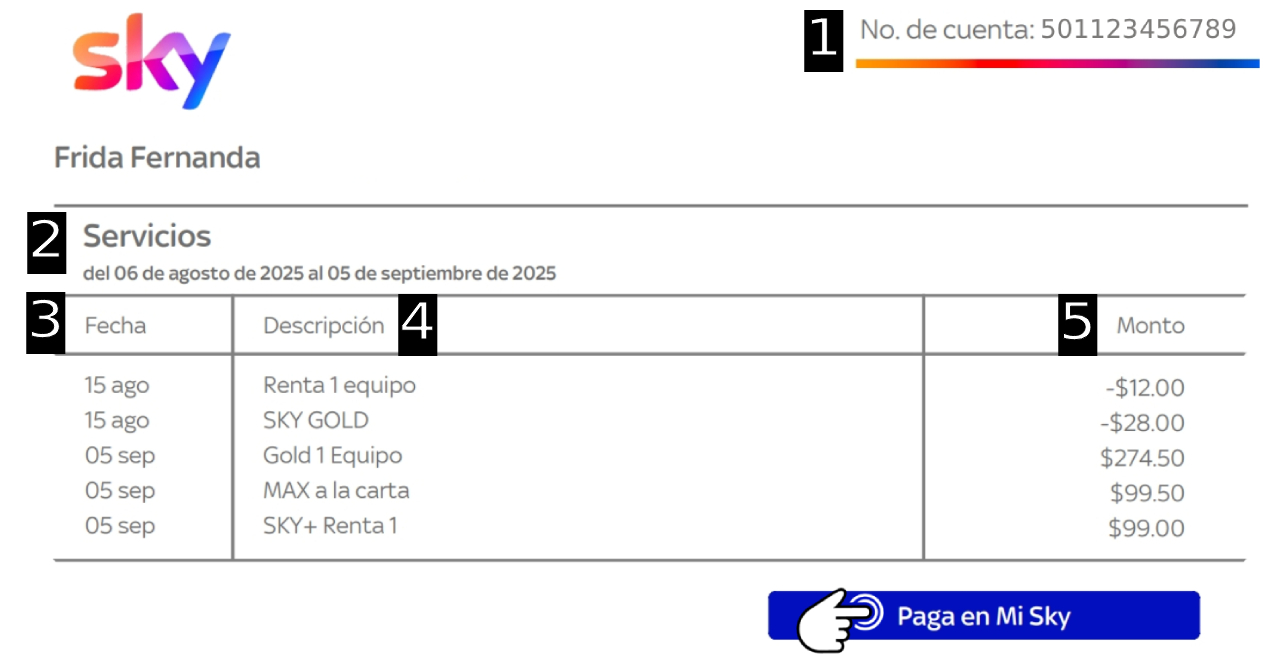 8. Estado de cuenta (1).jpg