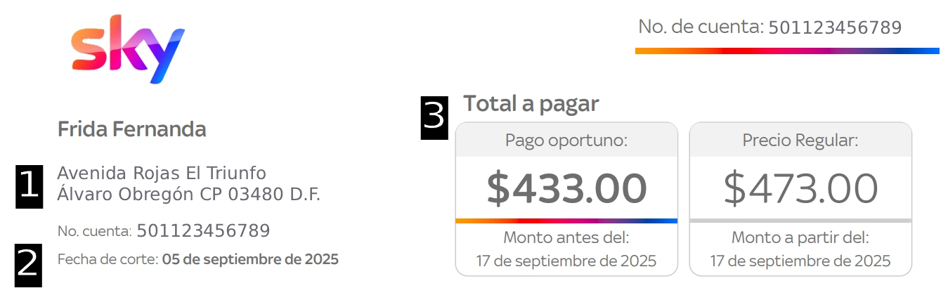 5.1 Estado de cuenta.jpg