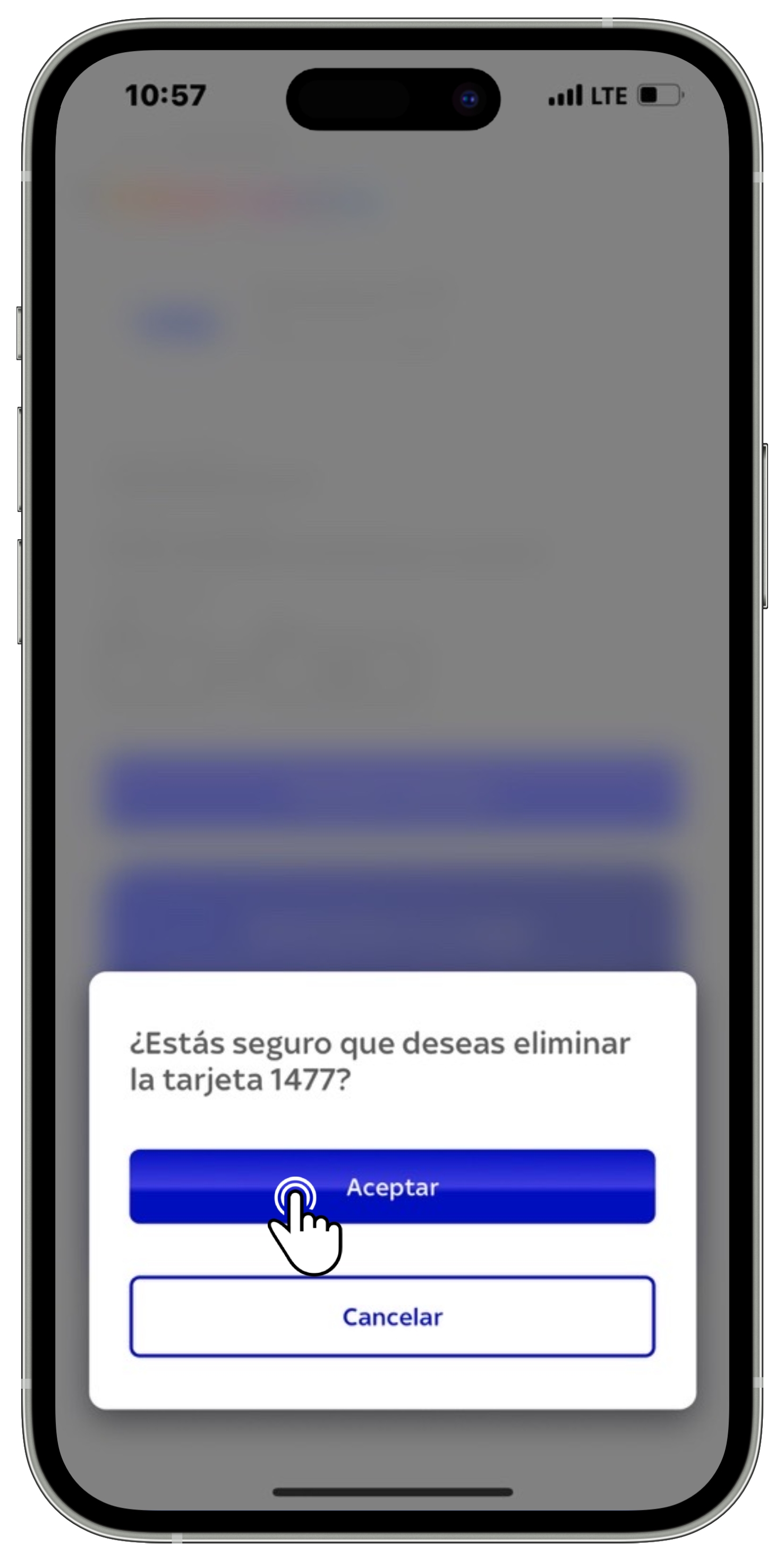 App Sky - Finalización Eliminar tarjeta 1.jpg