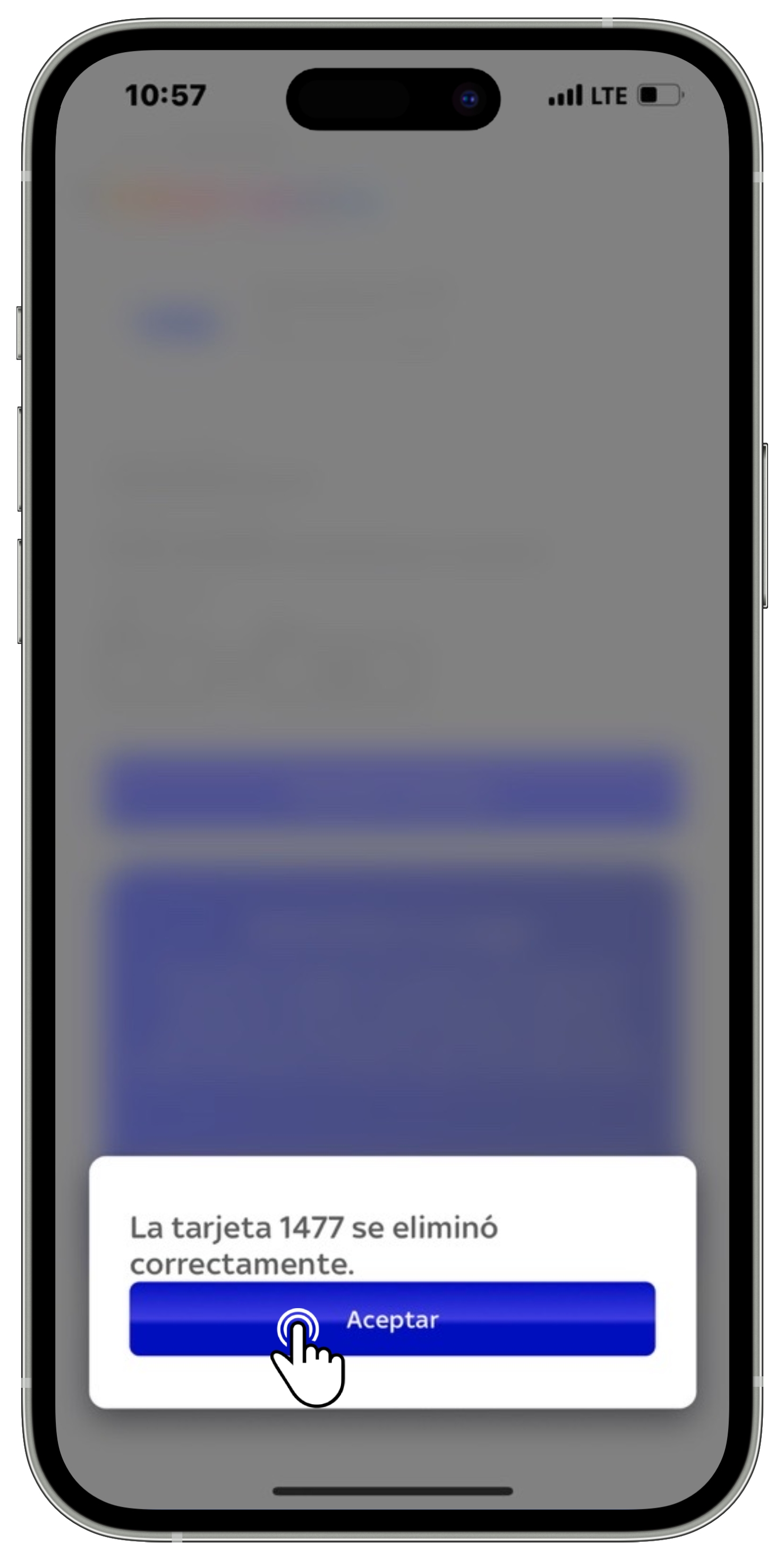 App Sky - Finalización Eliminar tarjeta 2.jpg