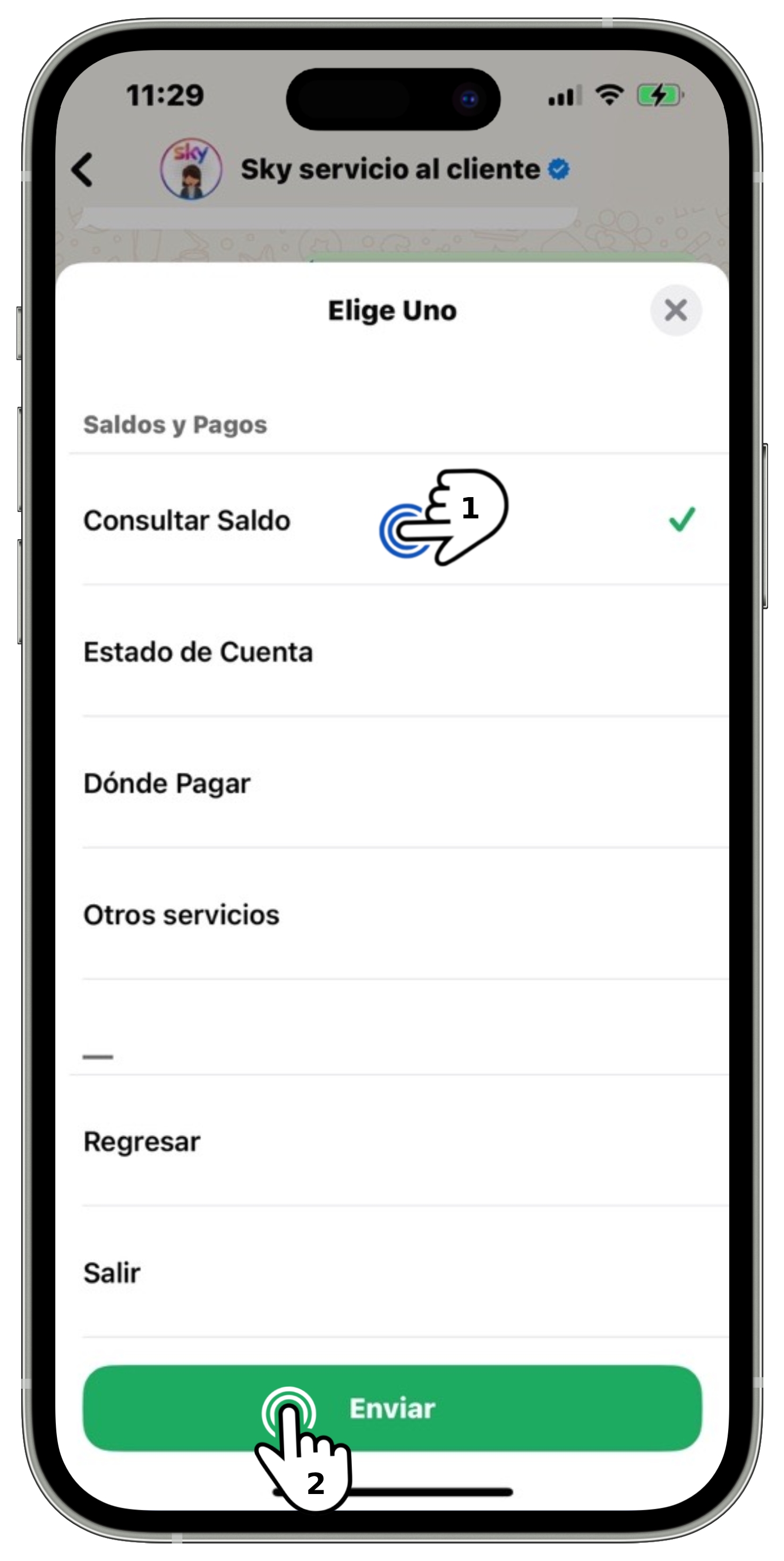 WhatsApp - Consultar Saldo.jpg