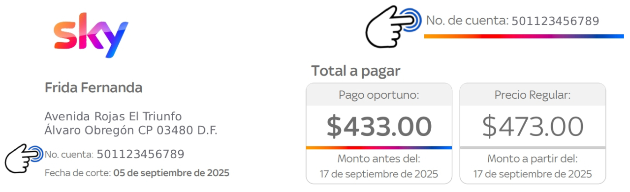 Estado de cuenta - Carátula - Número de cuenta seleccionado 2.jpg