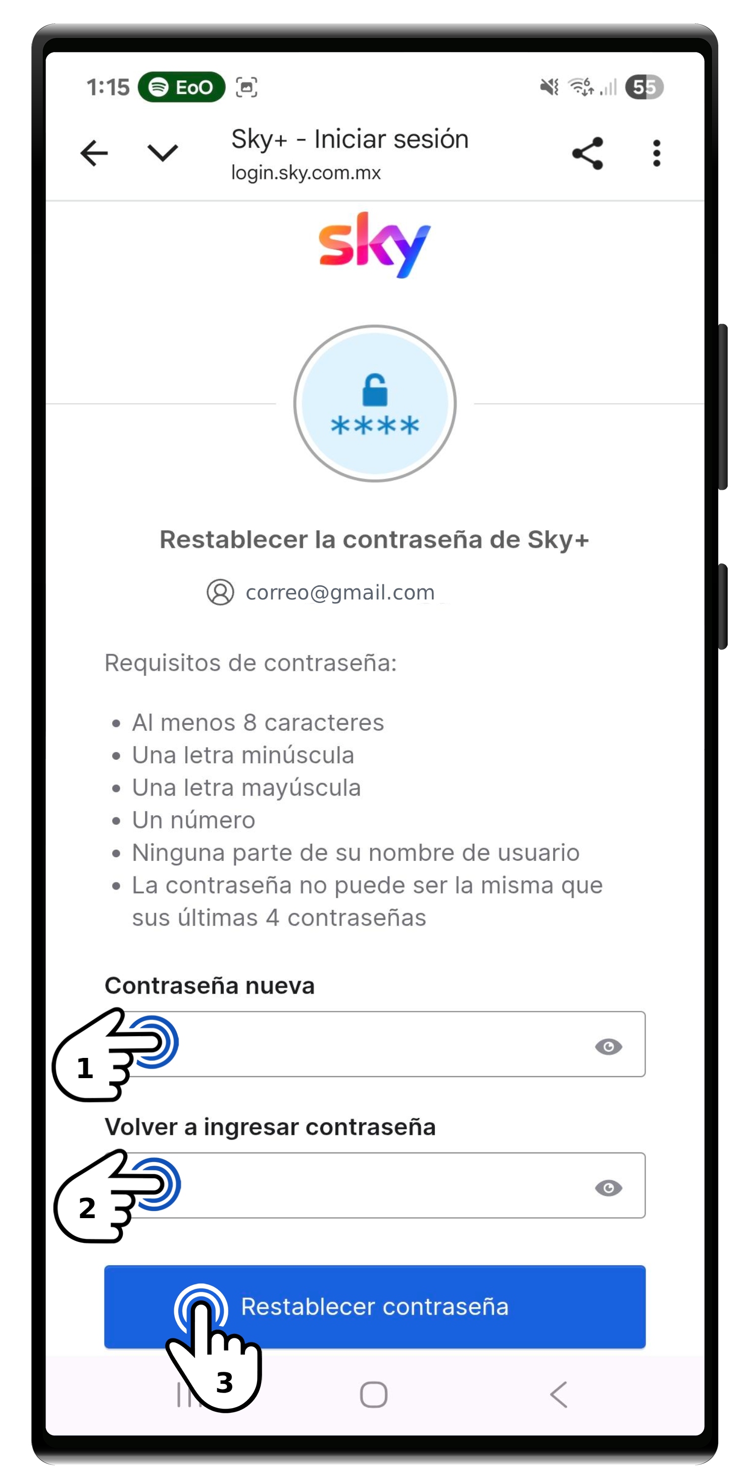 6. Mi Sky Restablecimiento de contraseña.jpg