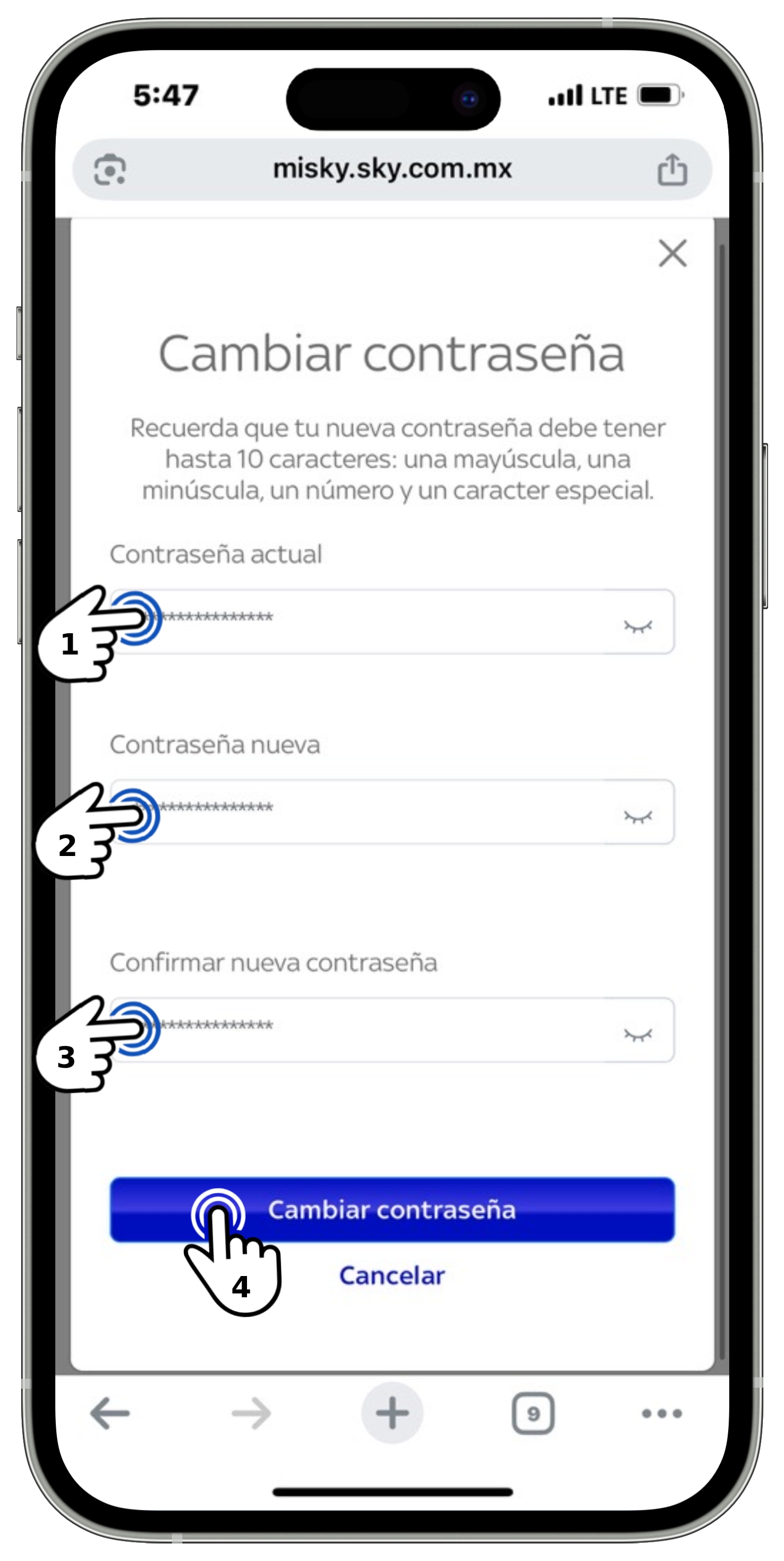 Mi Sky - Menú Mi Cuenta - Ajustes de cuenta - Cambio de contraseña.jpg