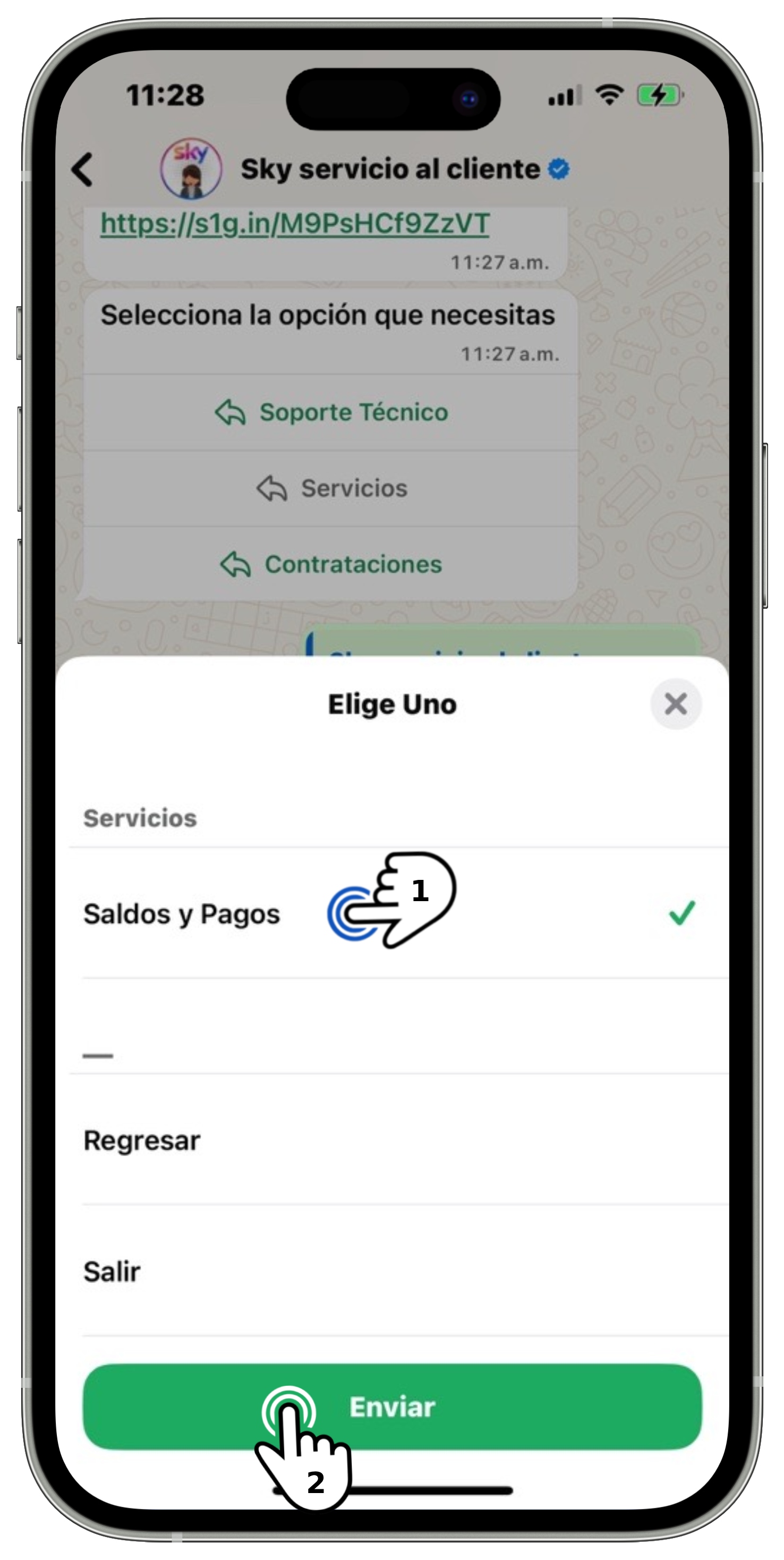 WhatsApp - Menú Saldos y Pagos - Botón Enviar.jpg