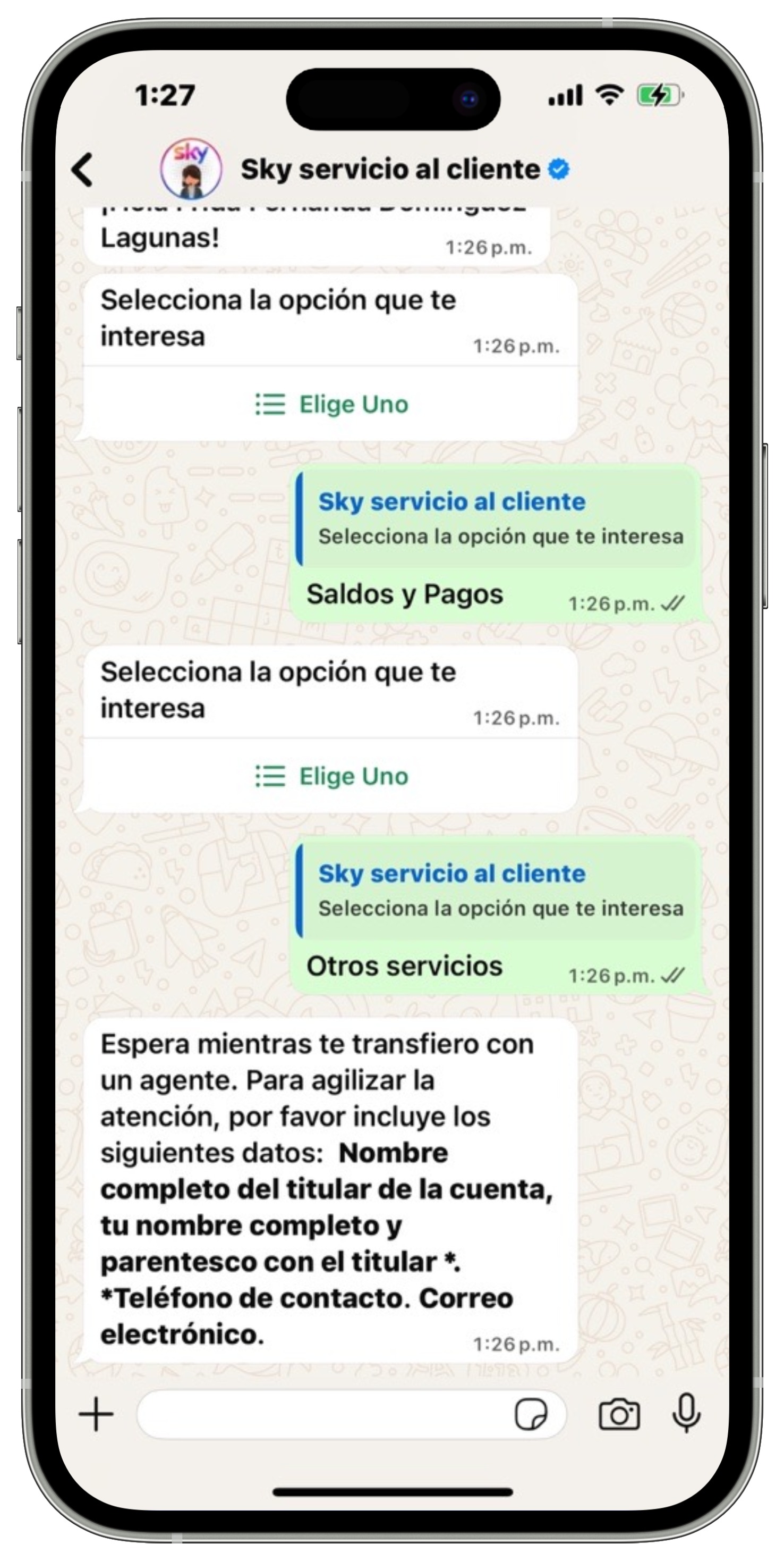 WhatsApp - Menú Saldos y Pagos - Ingresar datos de la cuenta.jpg