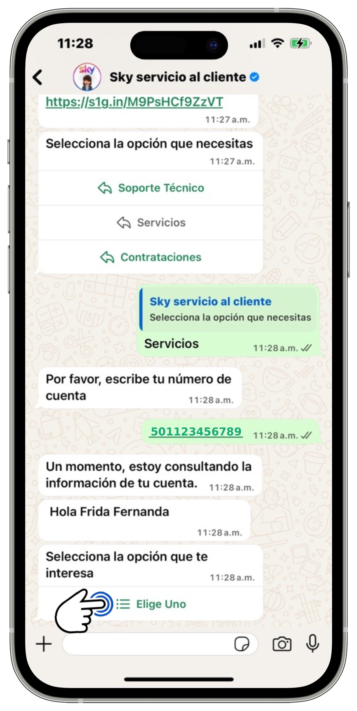 WhatsApp - Menú consulta de saldo seleccionado.jpg