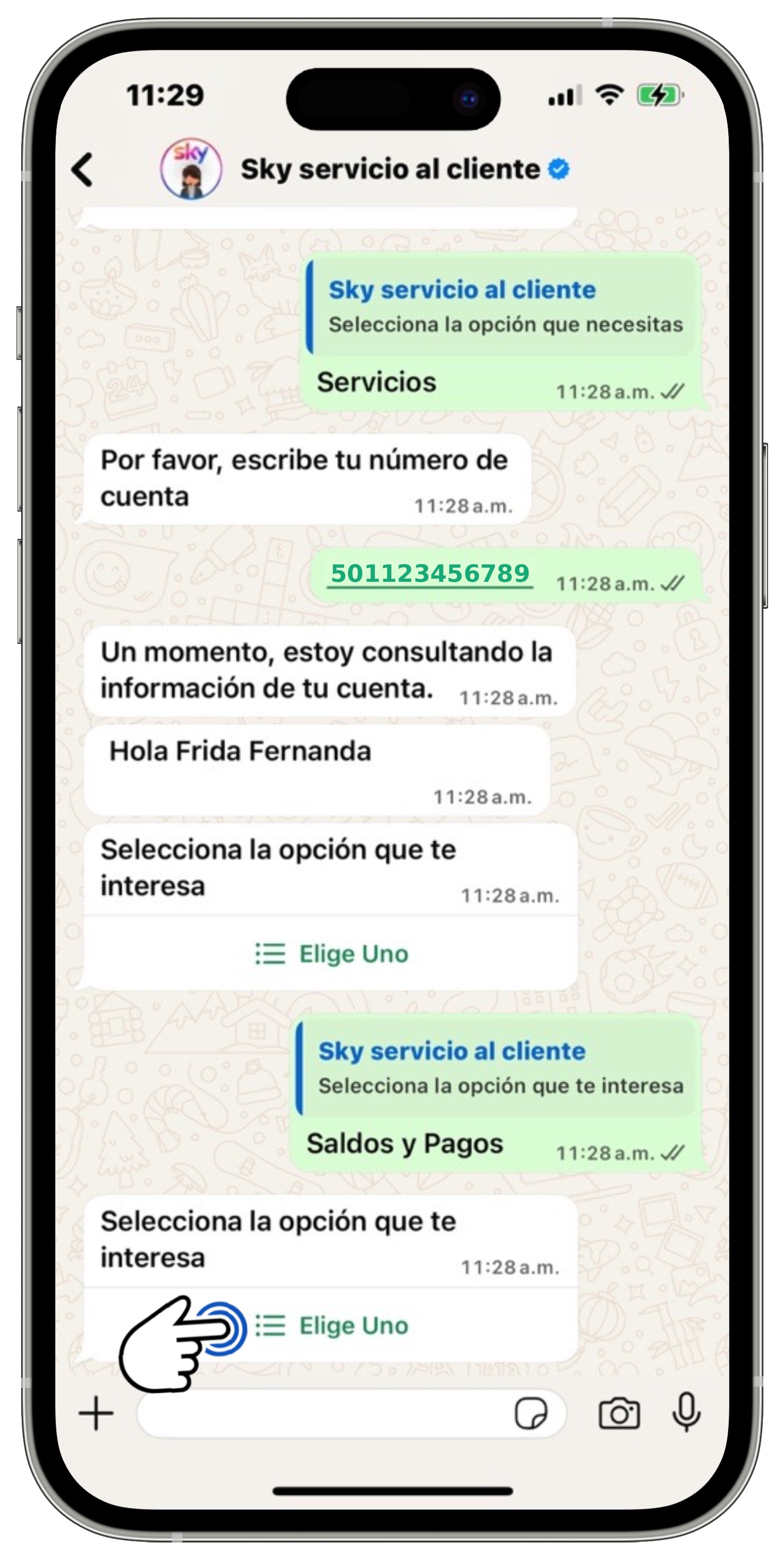 WhatsApp - Segundo menú para consultar saldo.jpg
